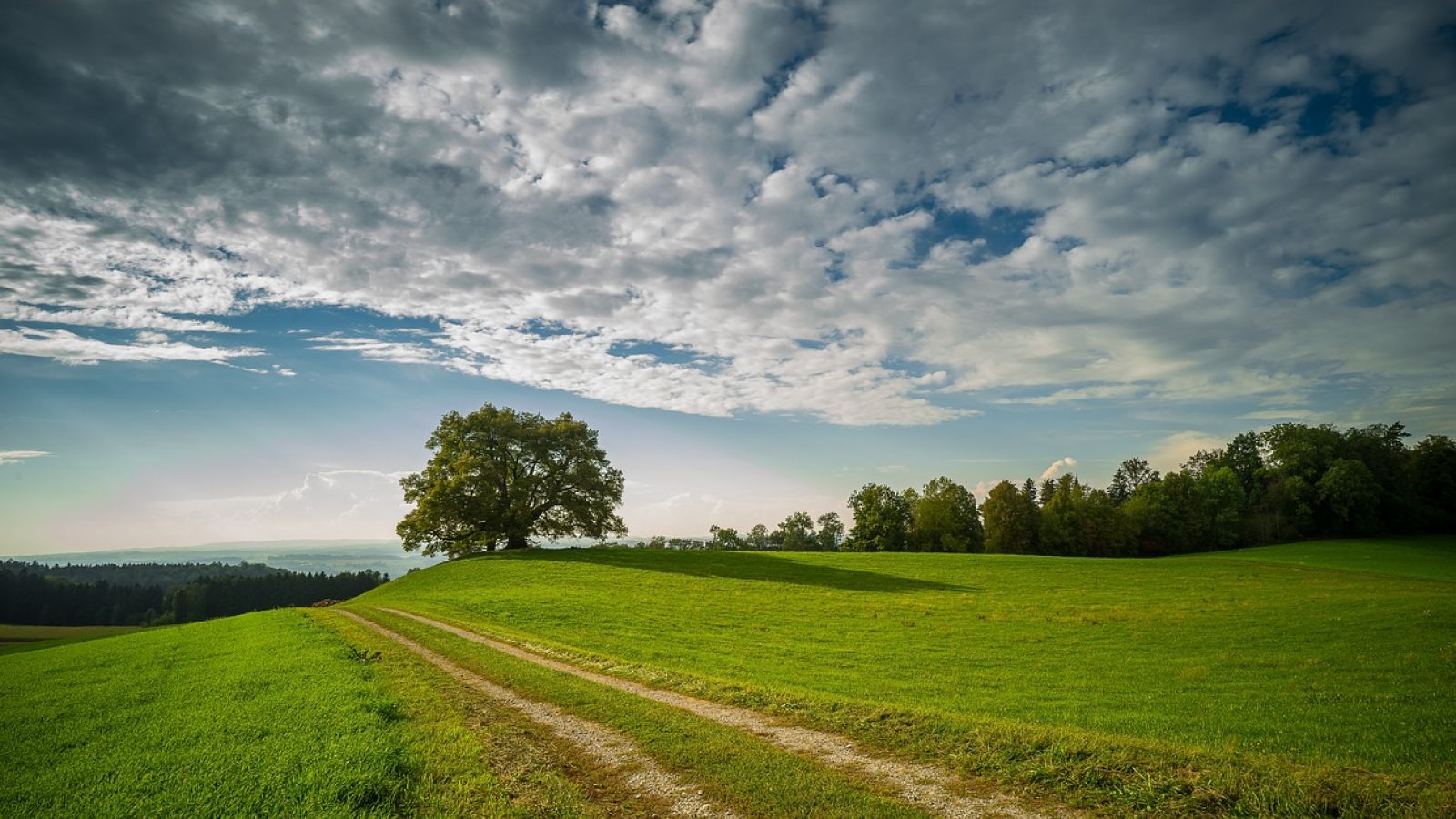 Bild von Lars Nissen auf Pixabay
