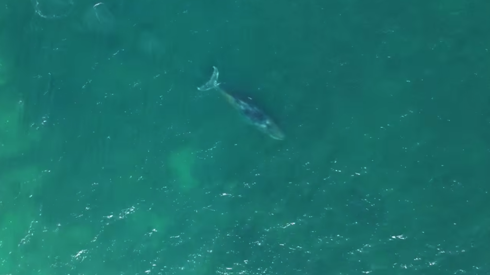 Bildschirmfoto 2026-04-20 um 12.19.47