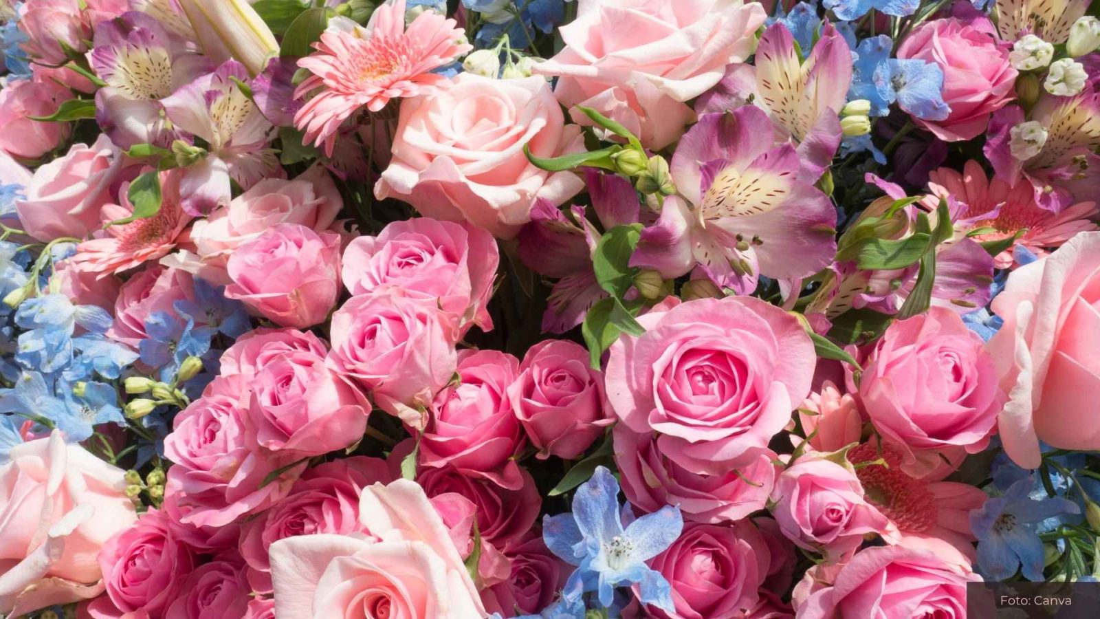 Blumen
