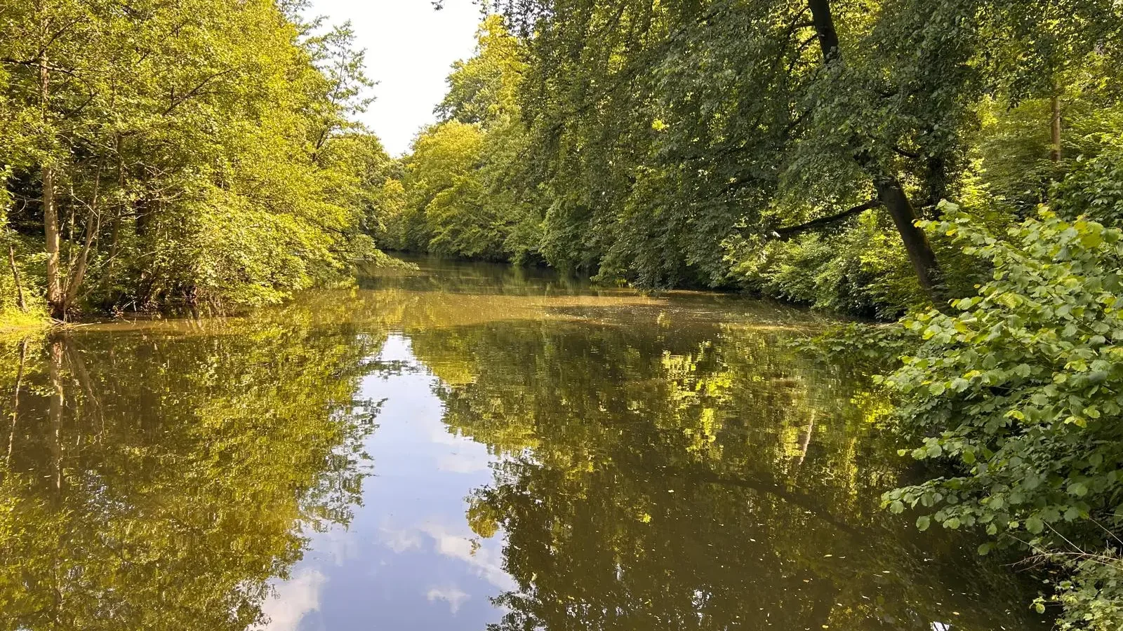 Botanischen Garten Münster-1