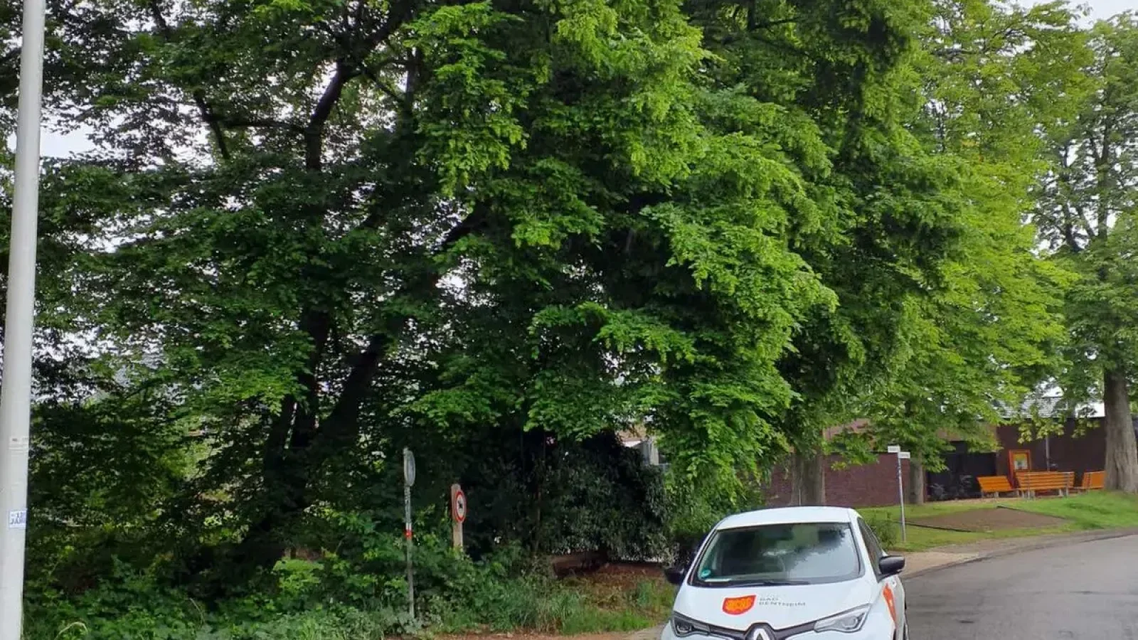 Buche an der Glückaufstraße wird gefällt