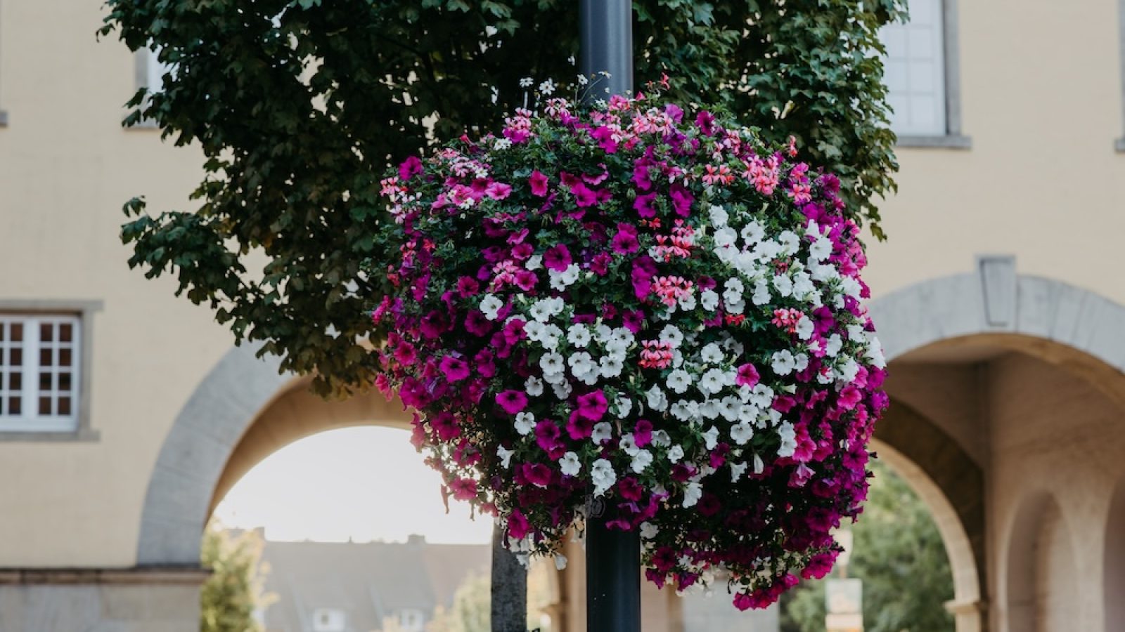 BvG Blumenampel Detail (c) Stadt Coesfeld