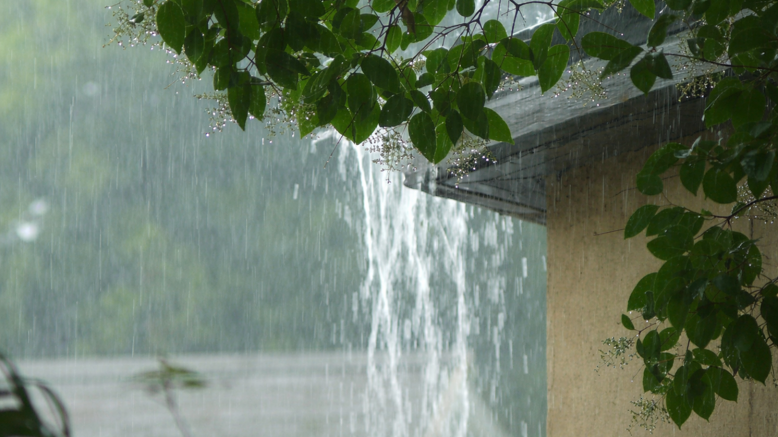 ChatGPT Image 27. Dez. 2025, 23_28_24