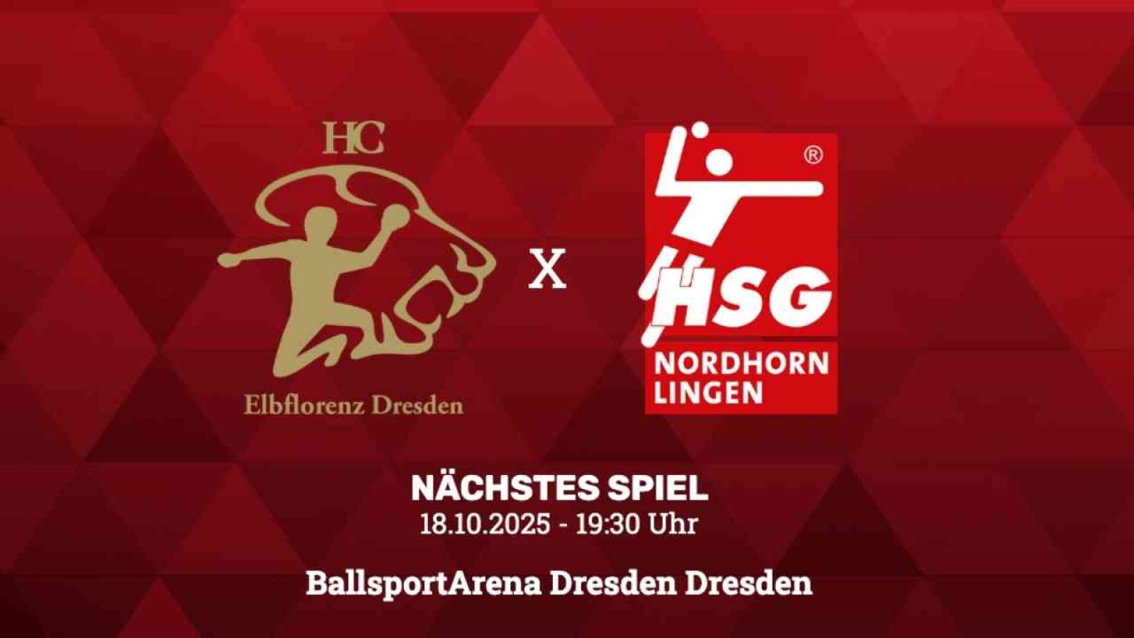 Handballspiel der HSG Nordhorn-Lingen im Euregium