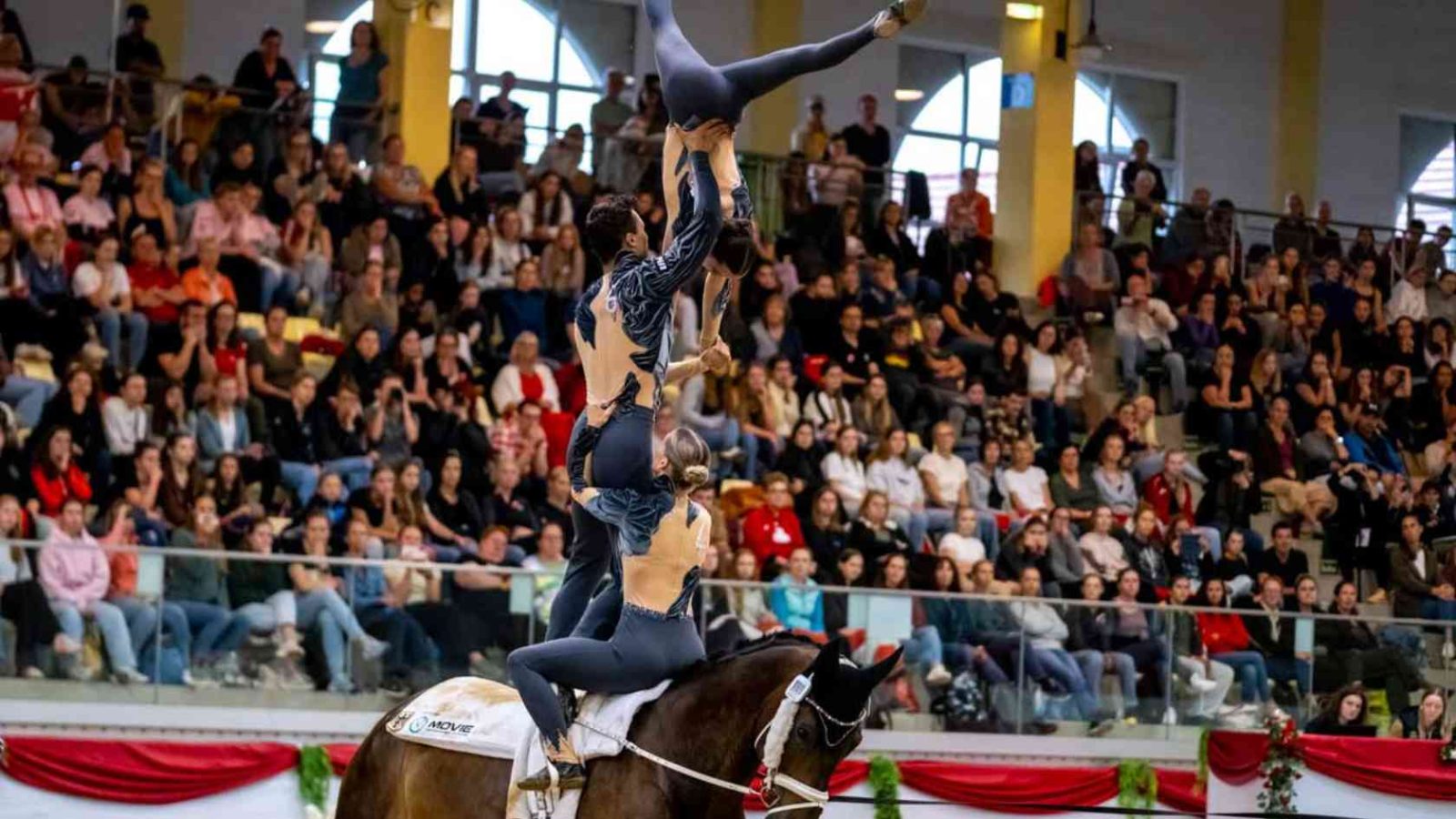 Das Team NORKA des VV Köln-Dünnwald verteidigt seinen EM-Titel und wird in Stadl-Paura Europameister 2025. Foto Carolin ChristmannVaulting World