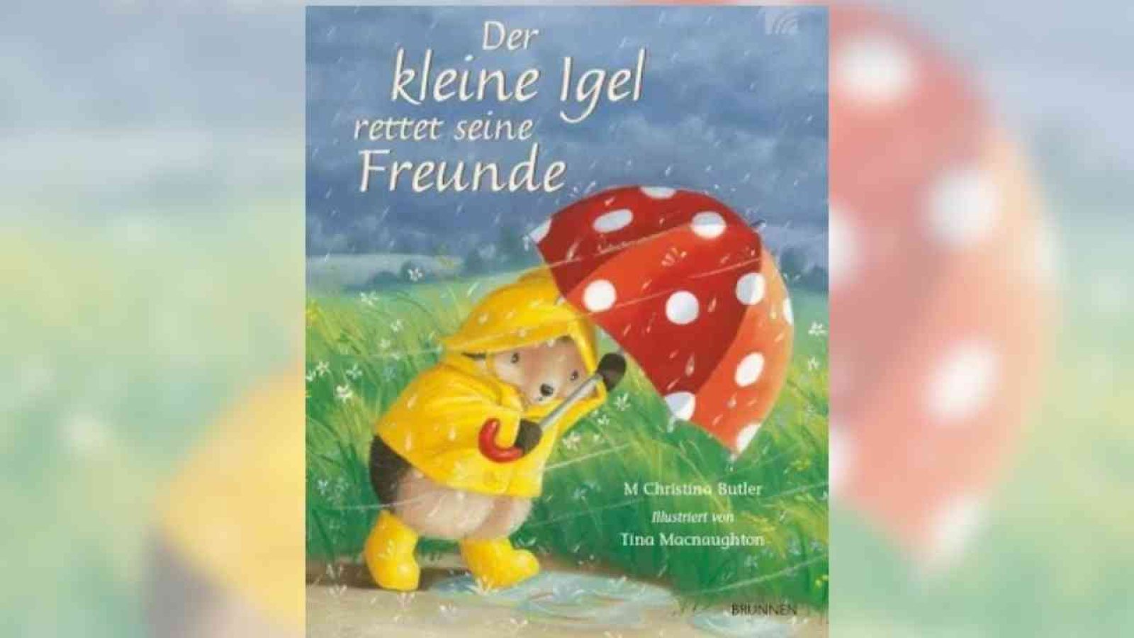 Der kleine Igel rettet seine Freunde