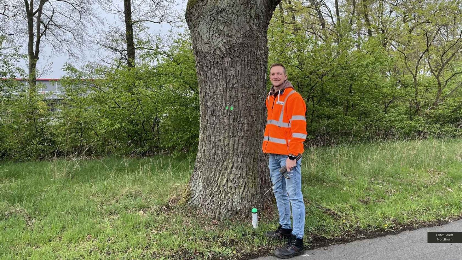 Die Stadt Nordhorn pflegt rund 90.000 Bäume im Stadtgebiet