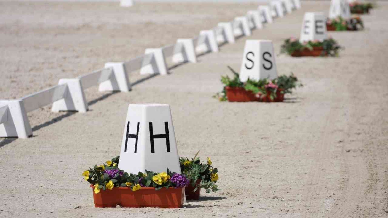 Markierungspylonen mit Buchstaben im Dressurviereck, umgeben von Blumenarrangements.