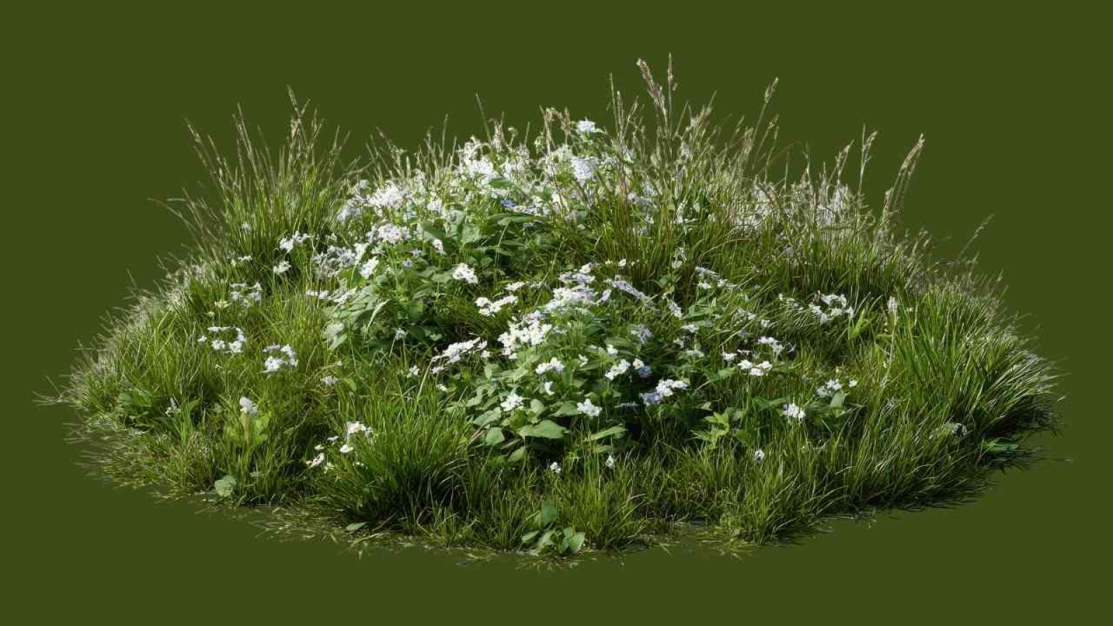 Dülmen MINT MAKERinnen Adventsbasteln