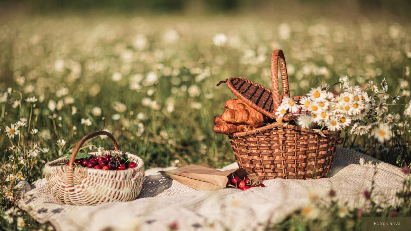 Ein Picknick mit Freunden organisieren