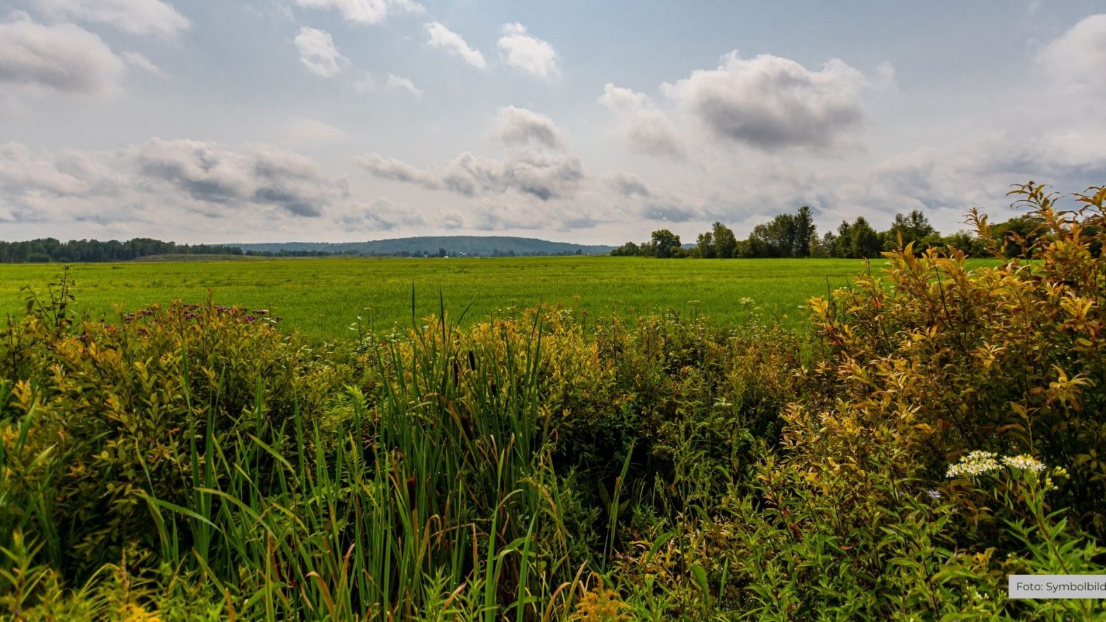 Emsland Natur