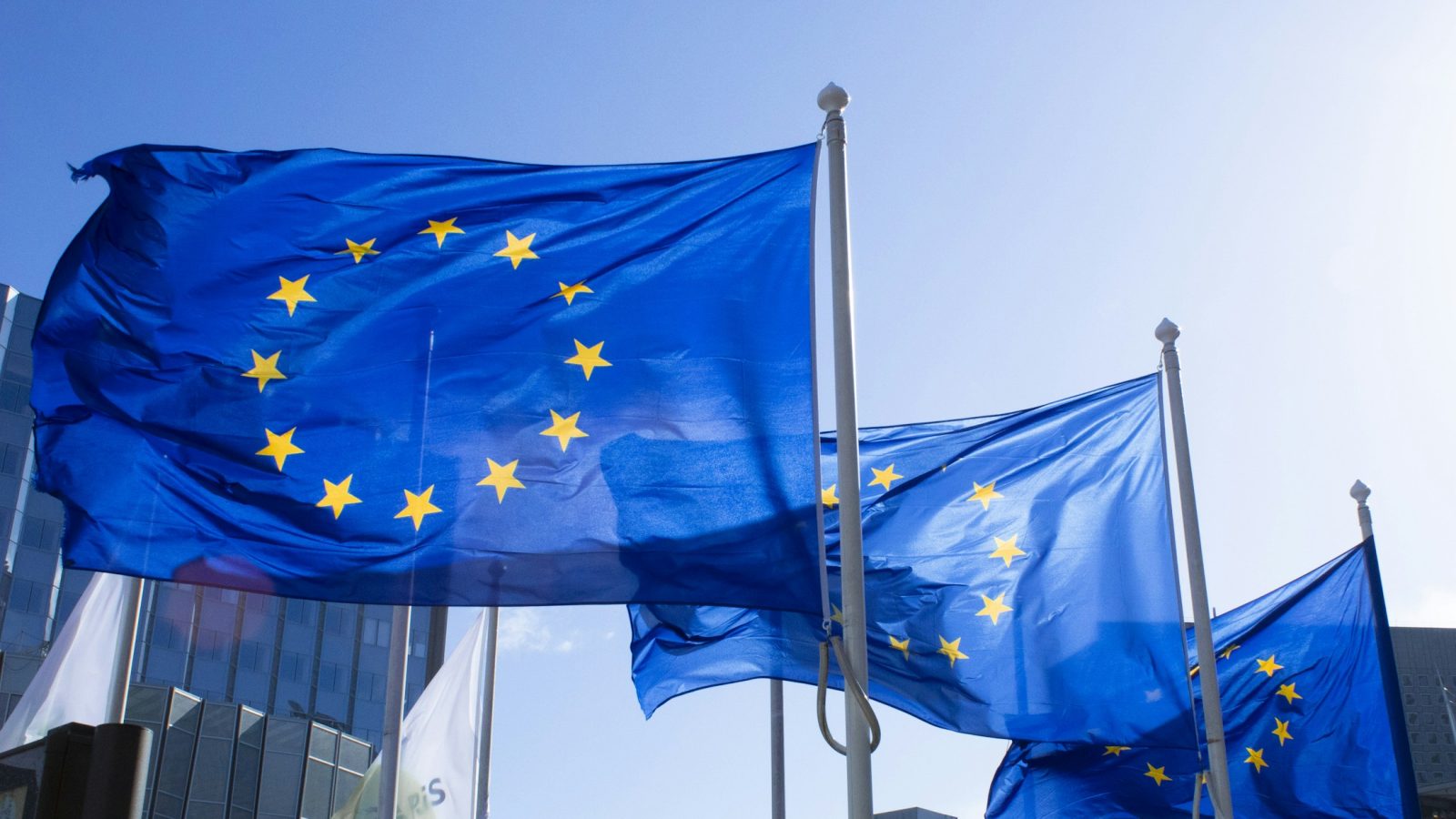 Europaflaggen wehen im Wind