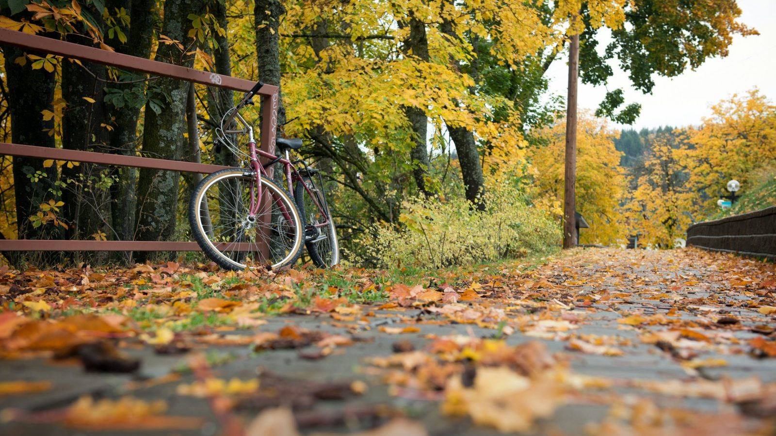 Ein Fahrrad steht auf herbstlichem Laub