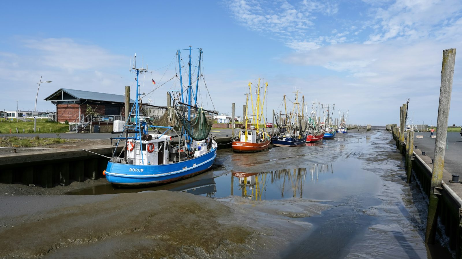 Fischkutter liegen bei Ebbe im Hafen (Symbolbild)