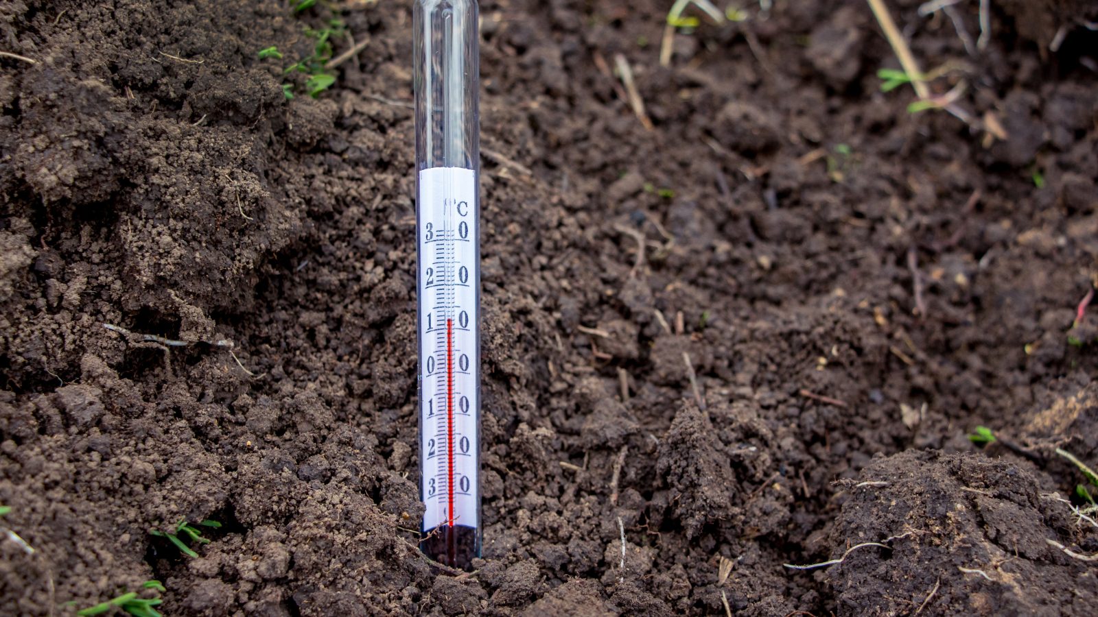 Gartenvorbereitung