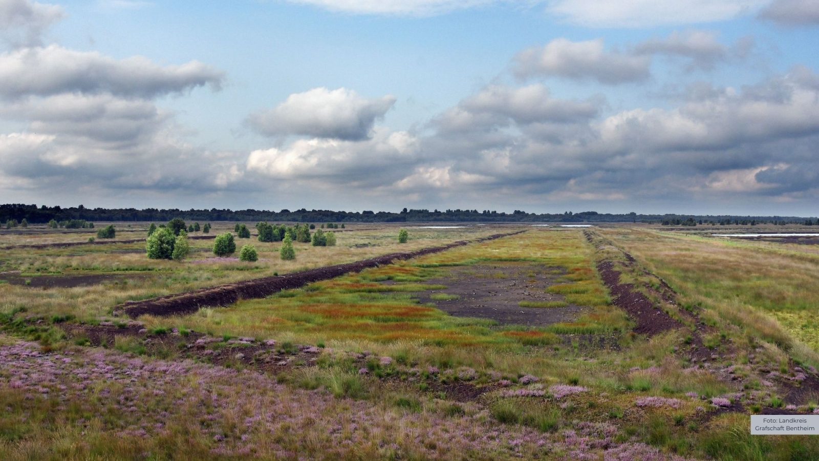 Georgsdorfer Moor-1