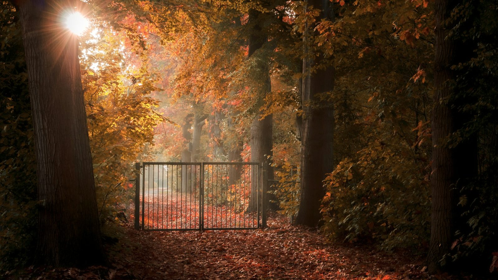 Geschlossenes Tor an einem Parkweg zwischen Bäumen, Symbolbild für die Sperrung im Stadtpark Papenburg