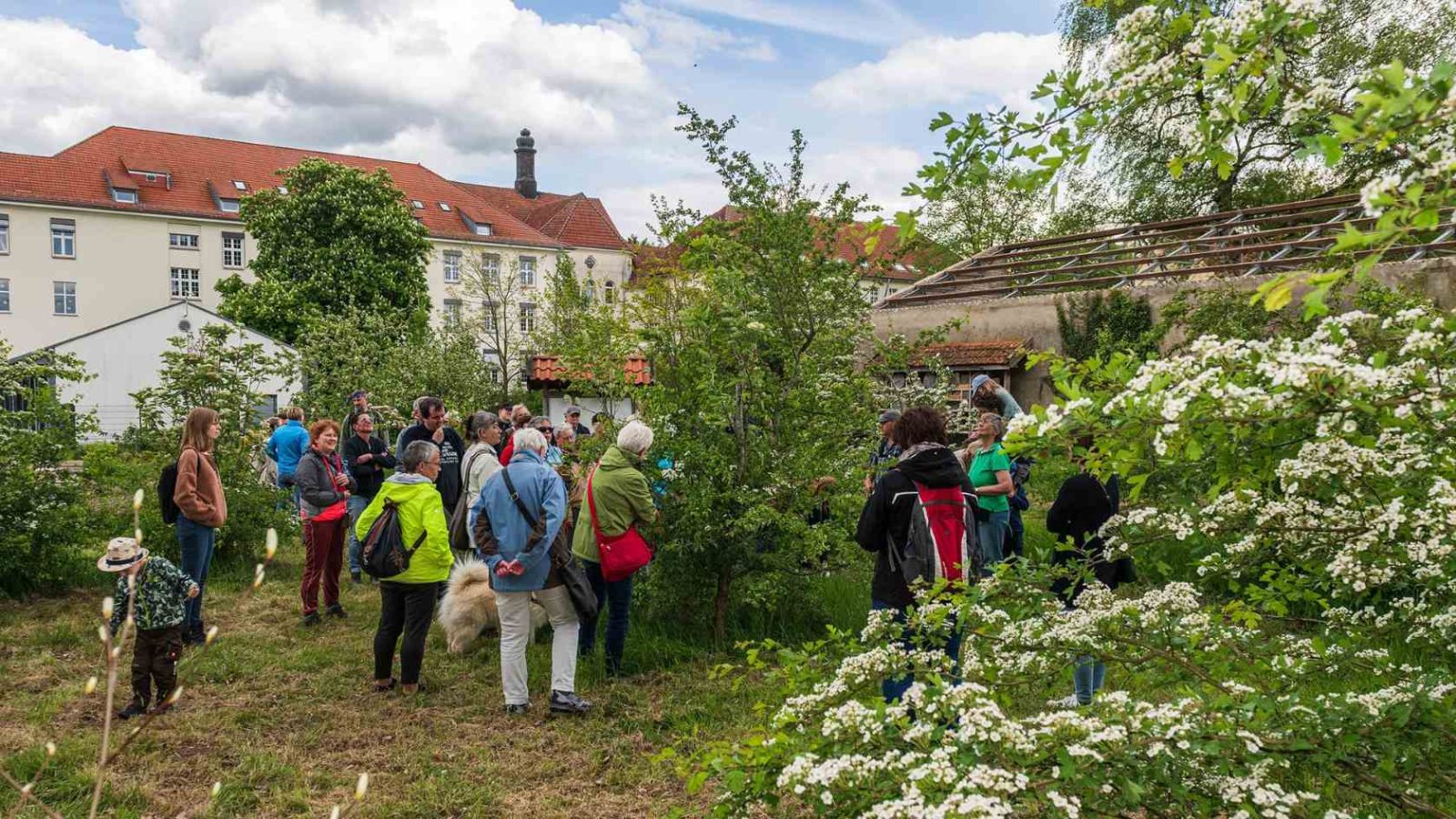 Gratisführung im Wacholderhain Bardel