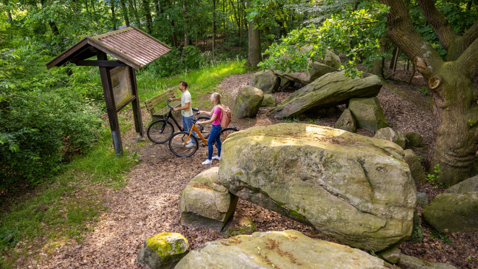 Großsteingrab auf Bruneforths Esch, Stavern - Radfahren Hümmling ©Emsland Tourismus GmbH