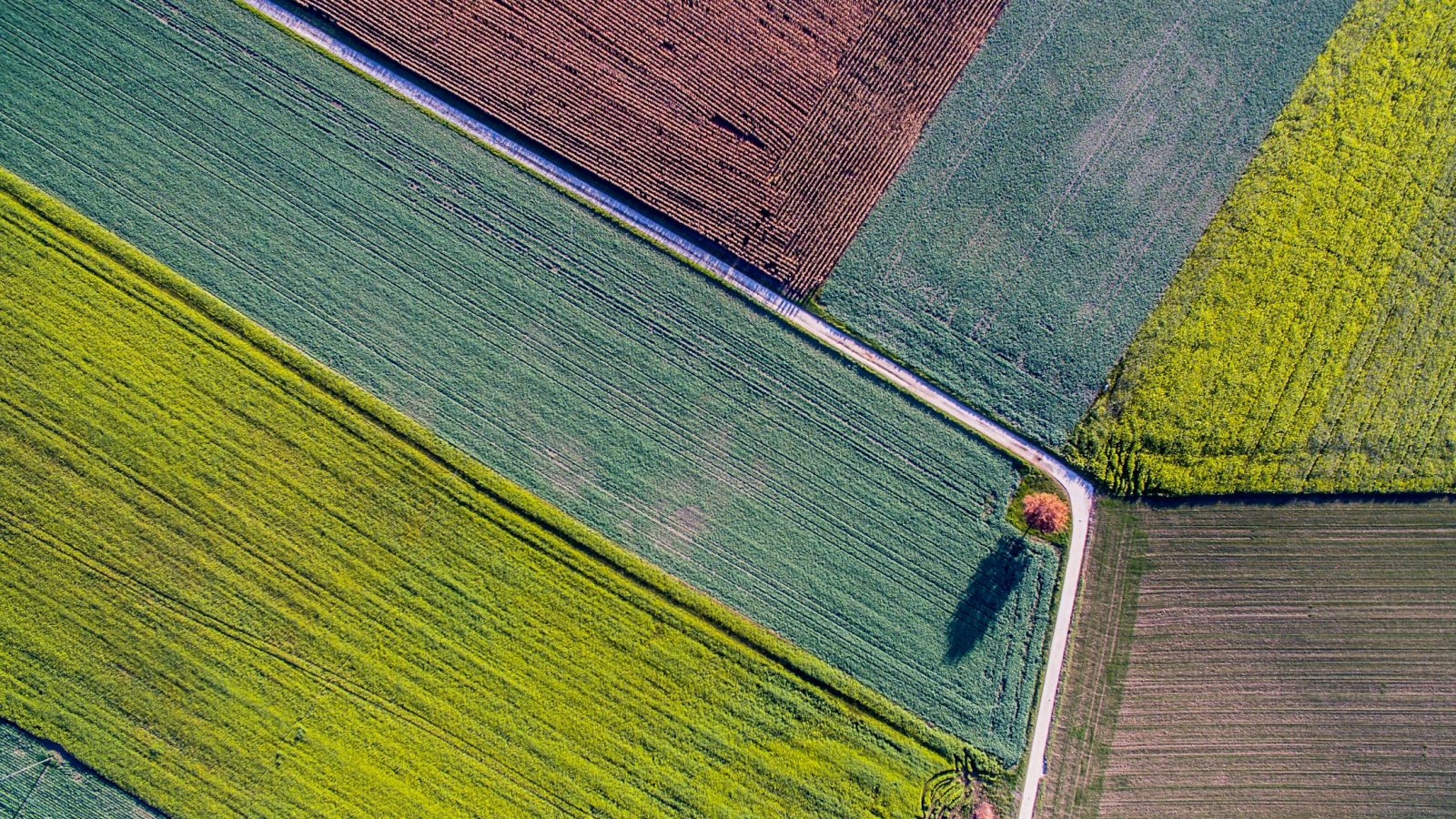 Landwirtschaftliche Fläche von oben, Symbolbild zur Verlängerung der Agrarumwelt- und Klimamaßnahmen