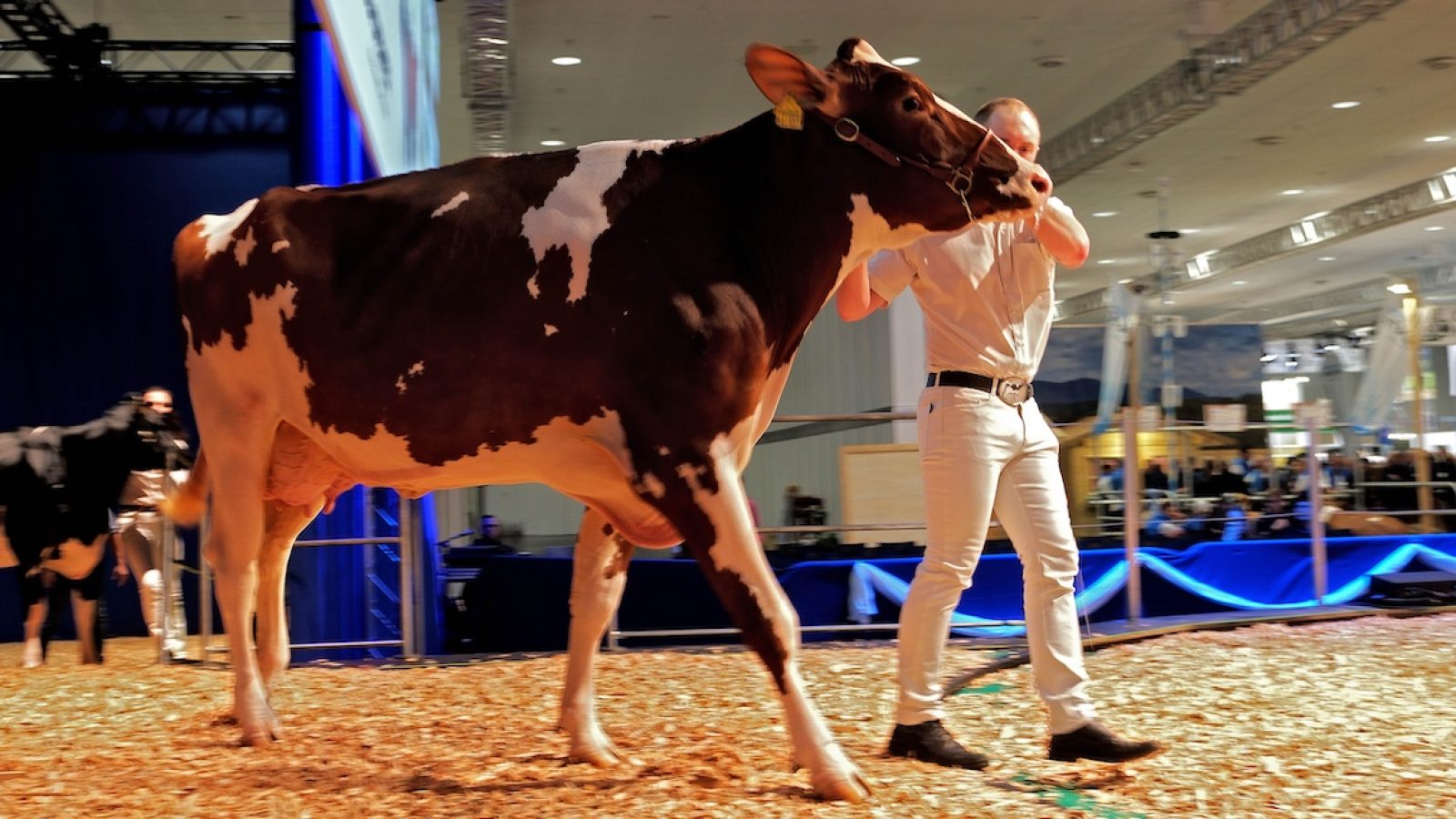 HUJE_Eurotier_Halle_11_30