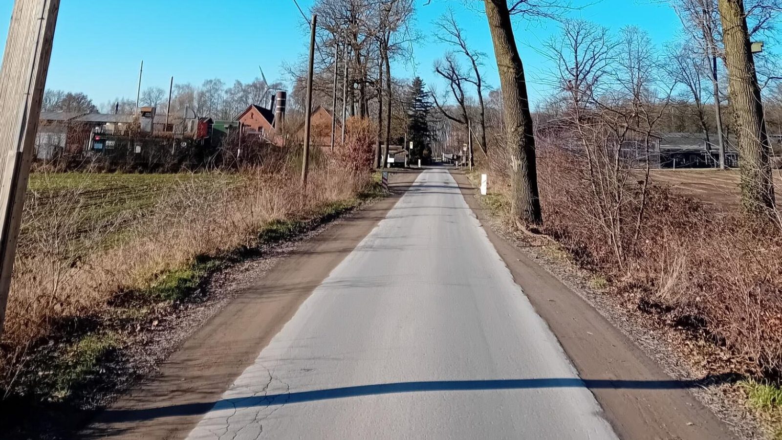 Herteler Wirtschaftsweg Straßenbäume (c) Stadt Coesfeld