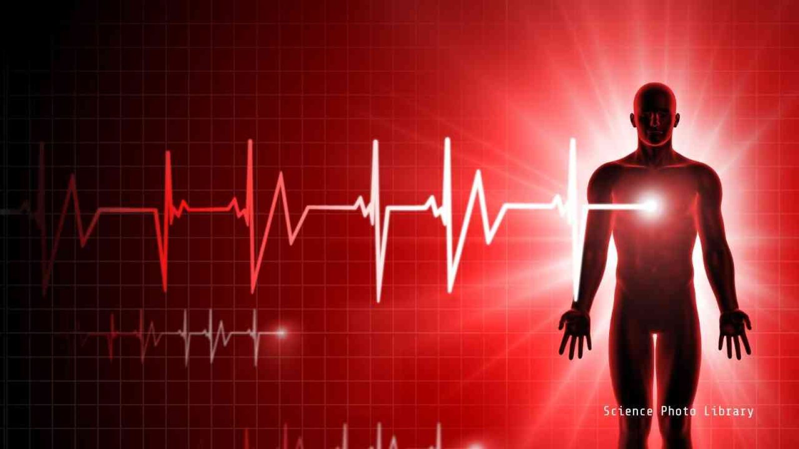 Herzwochen Meppen 2025 Herzwochen Meppen 2025