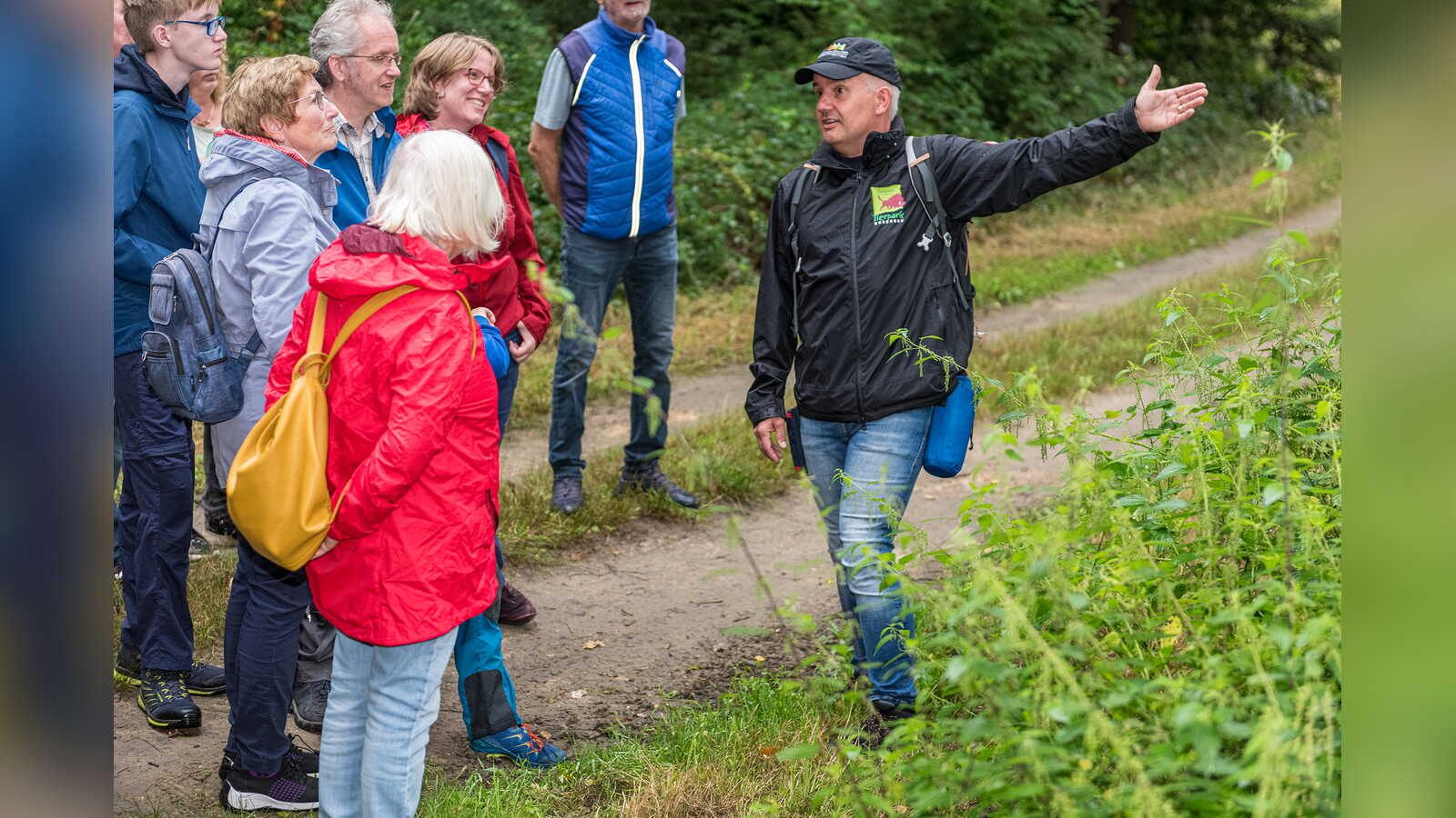 Naturschutzranger führen durch den Bentheimer Hutewald
