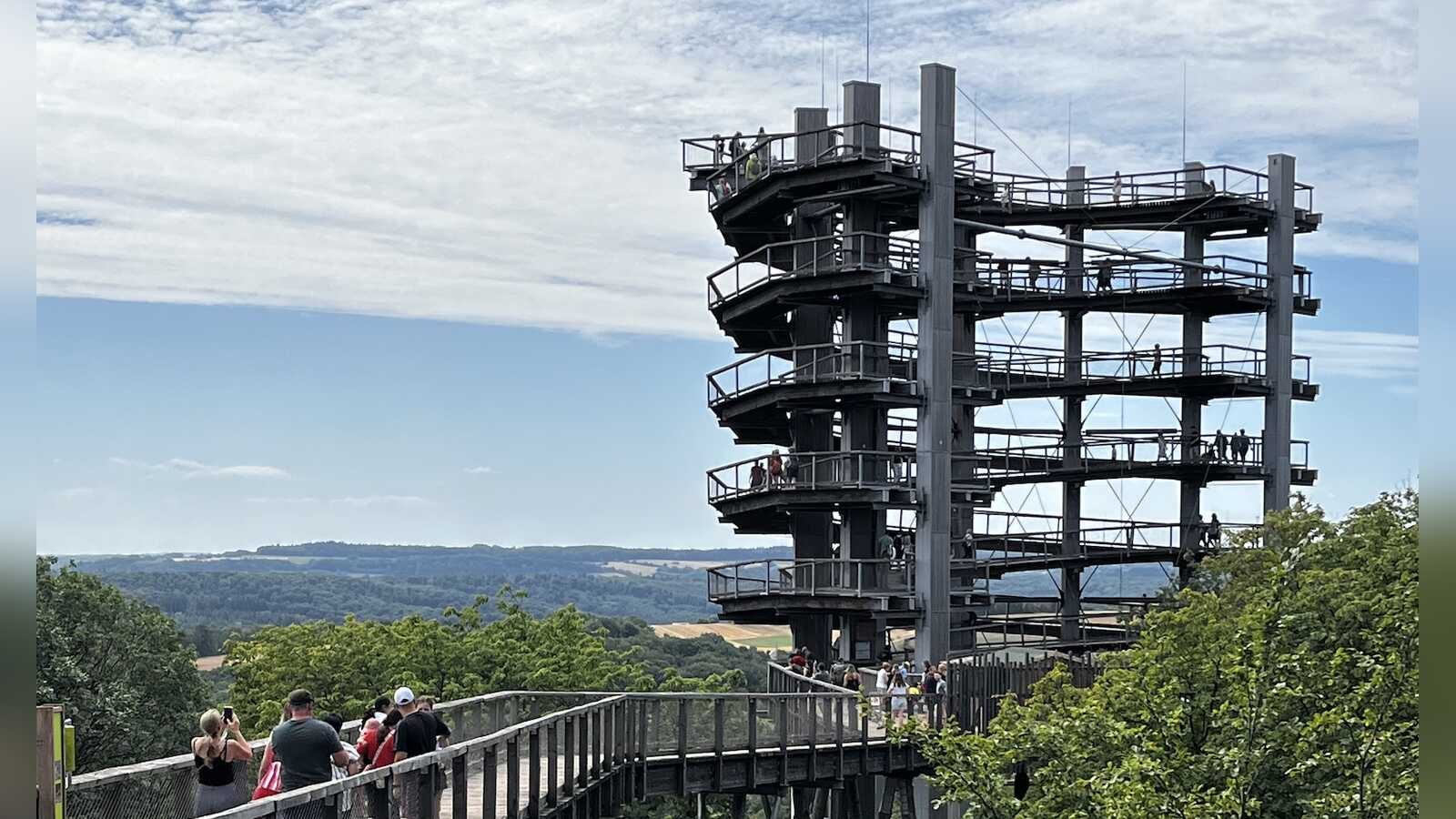 Der Baumwipfelpfad an der Saarschleife führt als Holzsteg durch die Baumkronen