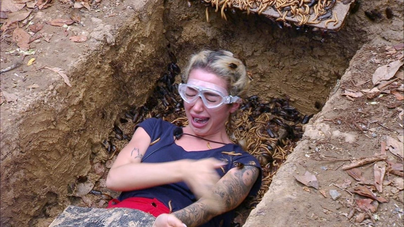 Ariel stellt sich als "freiwillige Helferin" der Dschungelprüfung "Wo Kabel?-Test" und wird dabei zum unglücklichsten "Bauarbeiter" des Camps.

+++ Die Verwendung des sendungsbezogenen Materials ist nur mit dem Hinweis und Verlinkung auf RTL+ gestattet. +++