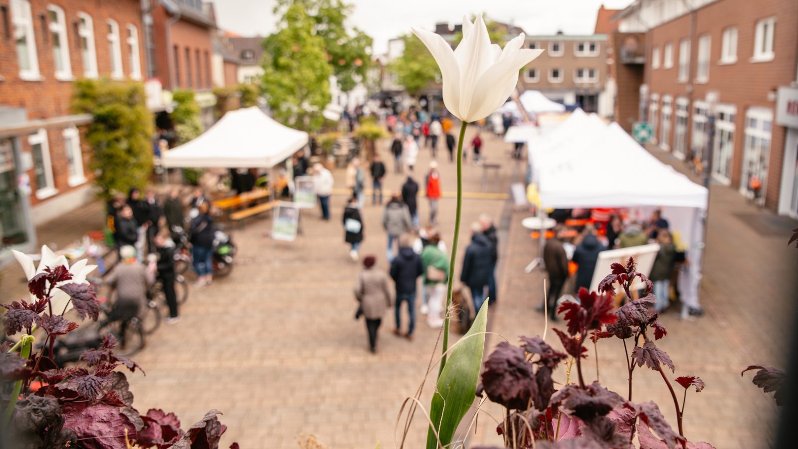 Impressionen Maiensonntag (11)