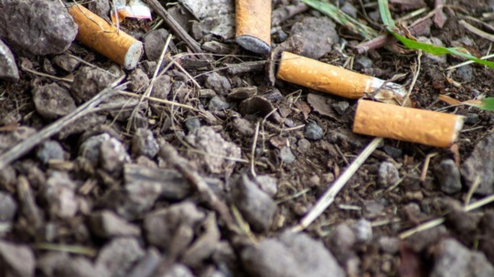 KIPPE_cigarettes-655~CC_PublicDomain