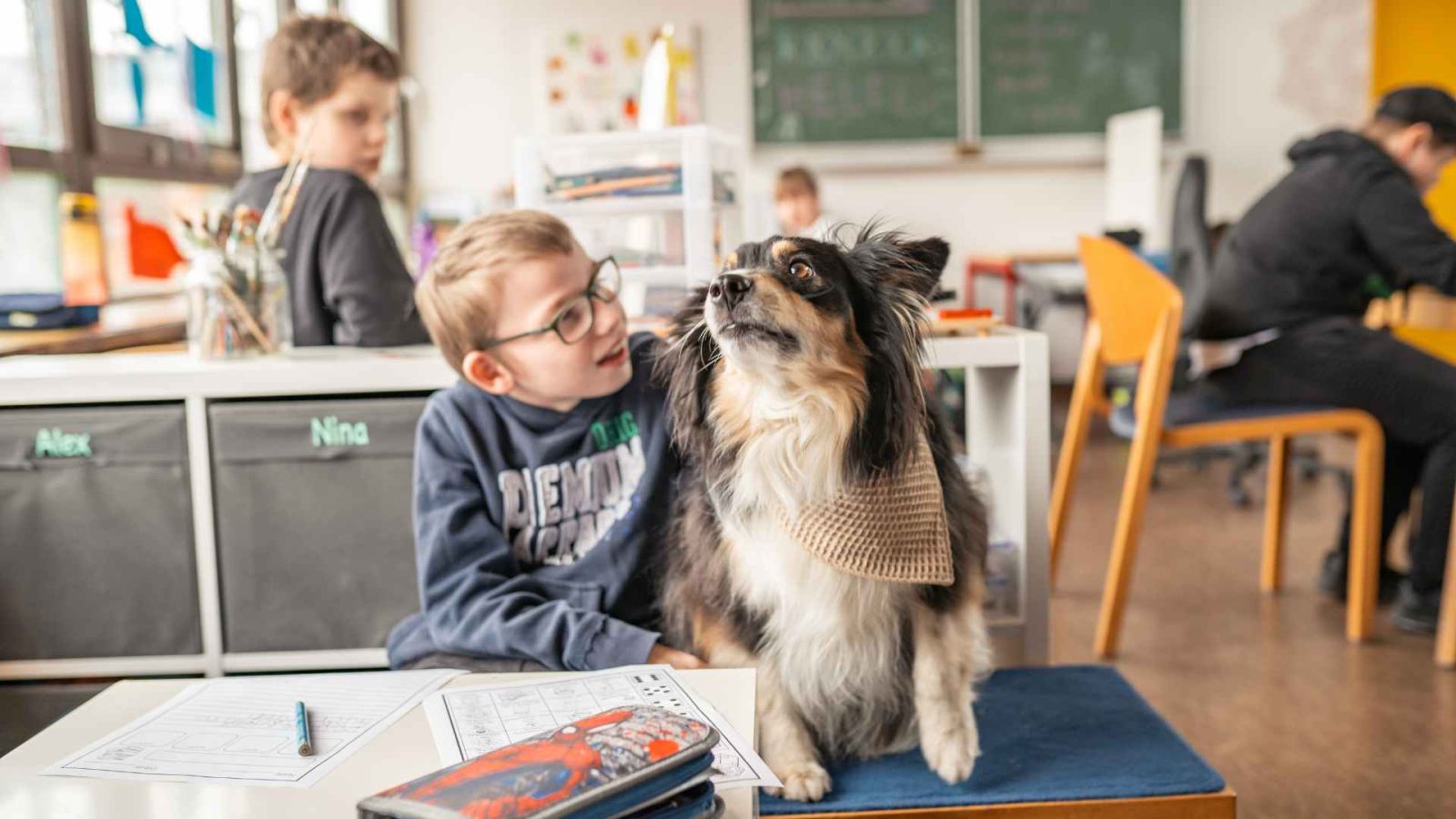 Kardinal-Von-Galen-Haus-Förderschule-Schulbegleithund