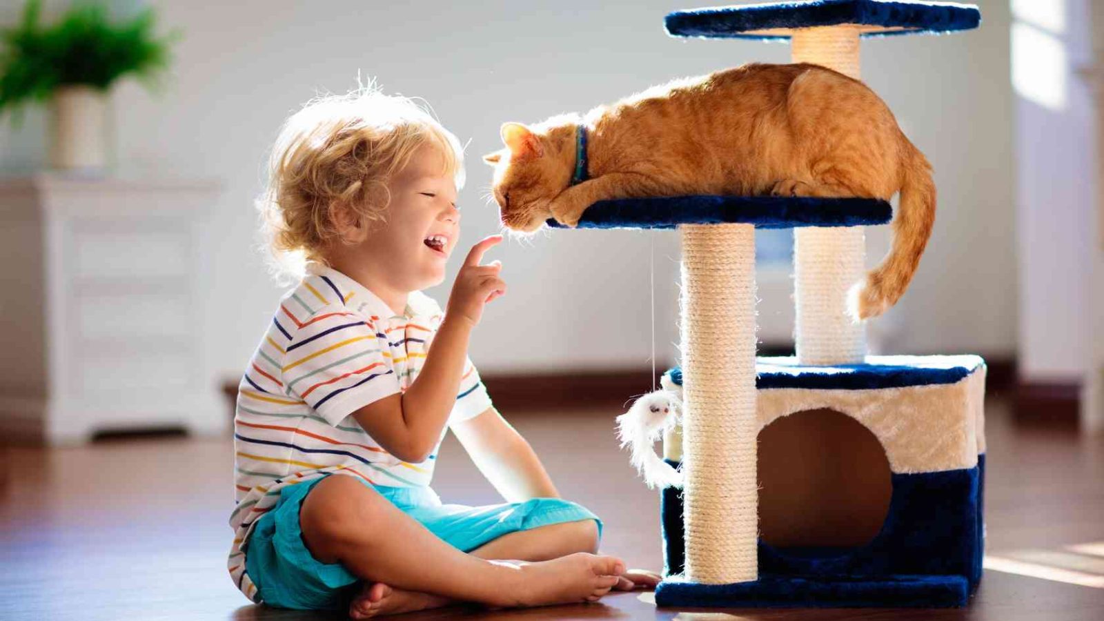 Kind mit Katze