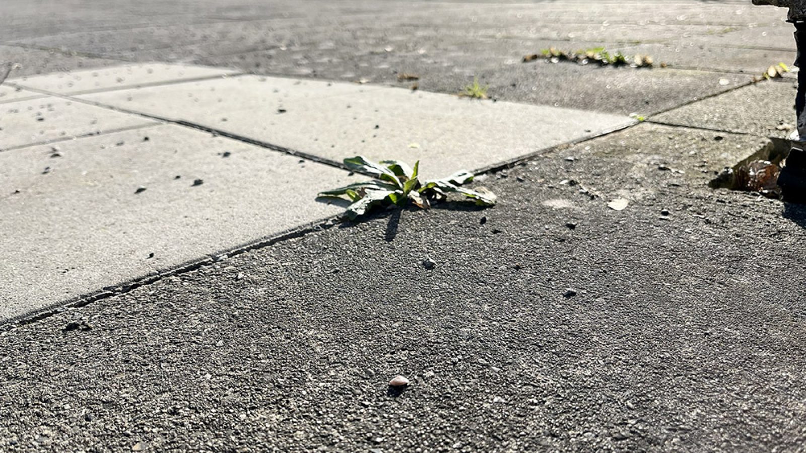 LBEG veröffentlicht Geobericht 53