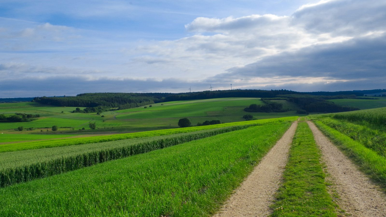 Landwirtschaftliche Felder in einer norddeutschen Landschaft