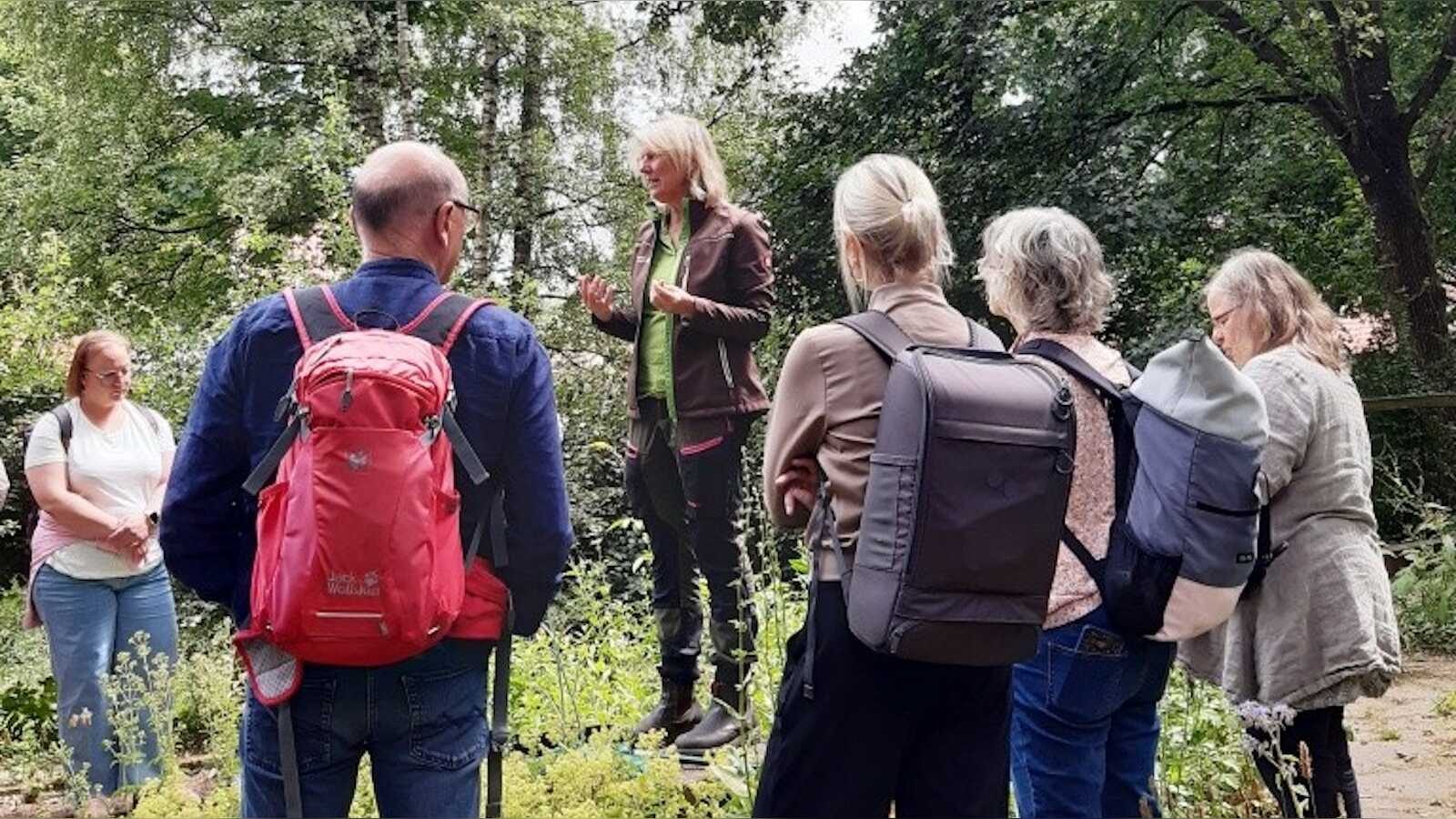 Waldweg für die märchenhafte Wanderung im Naturpark Moor bei Twist