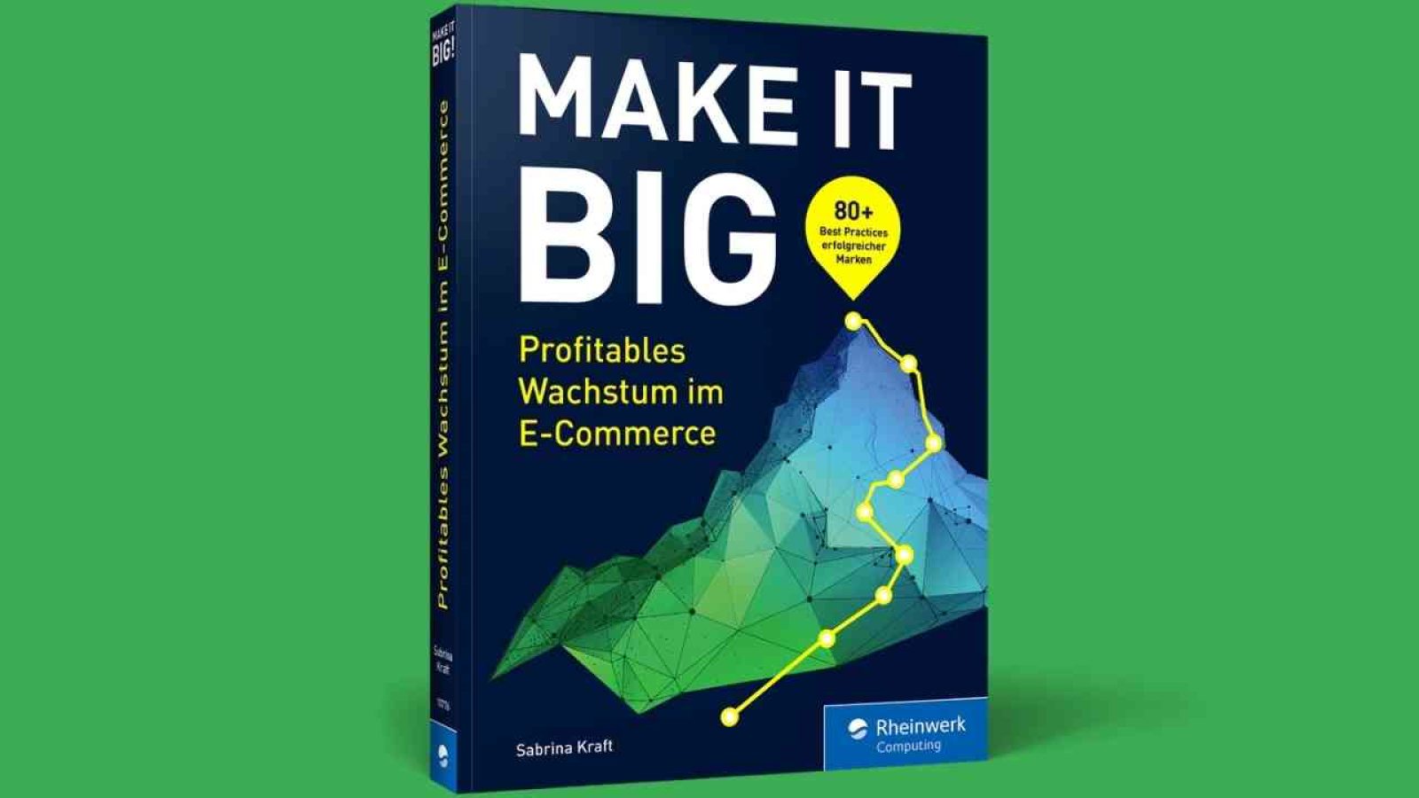 Buchcover von 'MAKE IT BIG' mit dem Titel und grafischen Elementen in Blau und Grün.