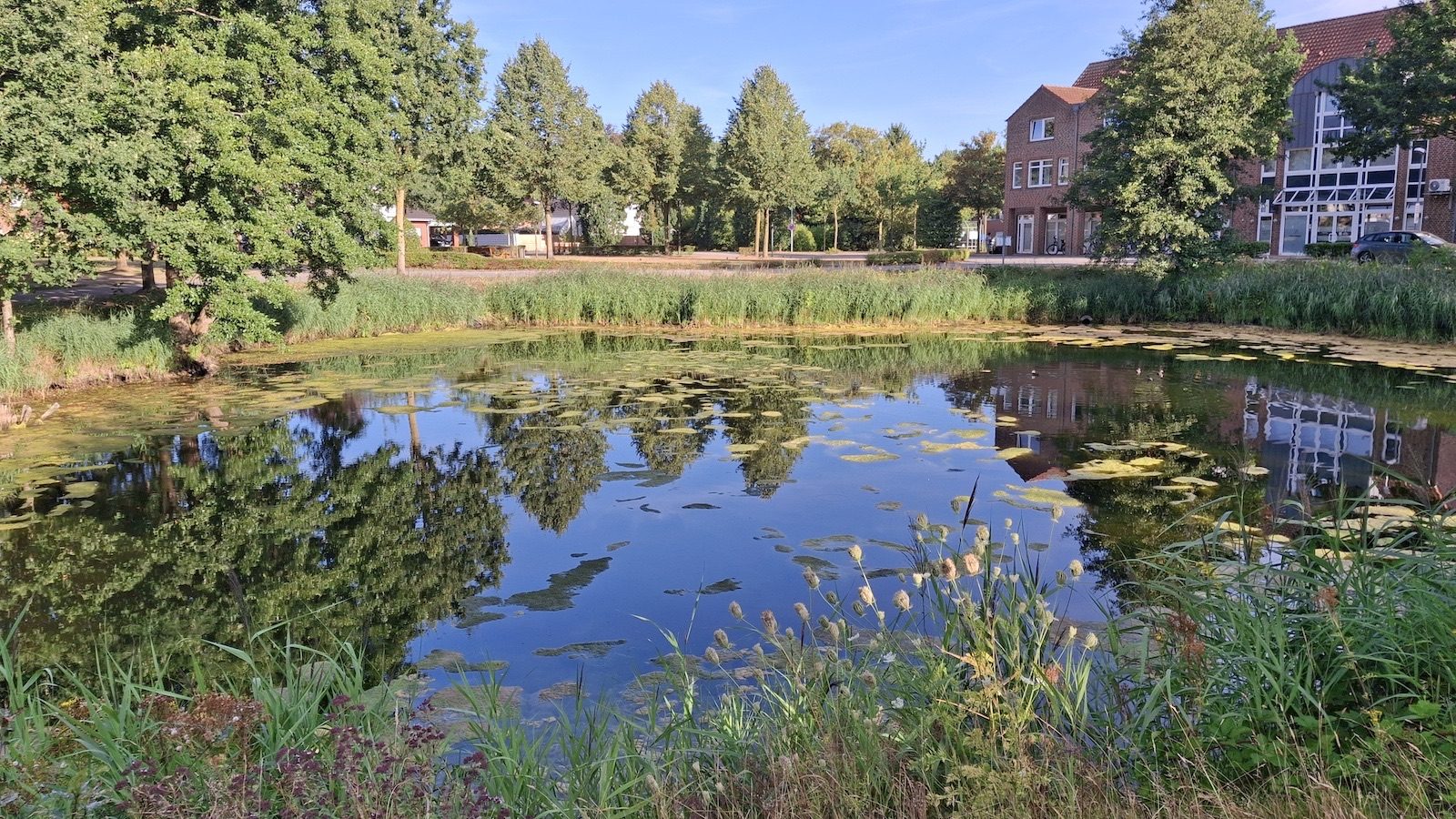 Marktsee