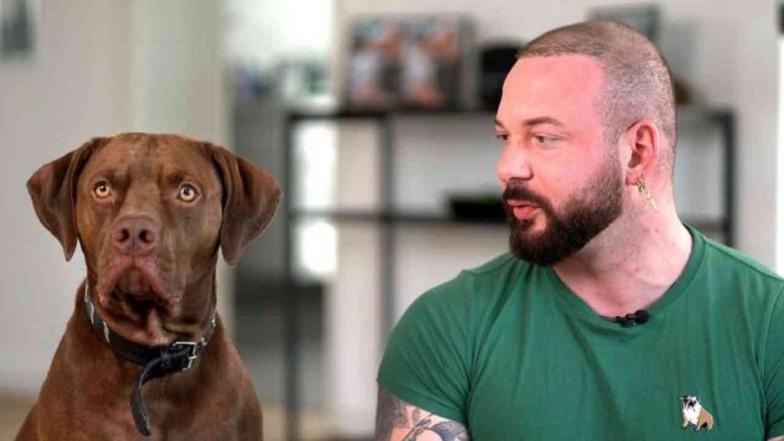 Ein Mann mit Bart und Ohrring sitzt neben einem braunen Hund mit auffälligen Augen in einem modernen Raum.