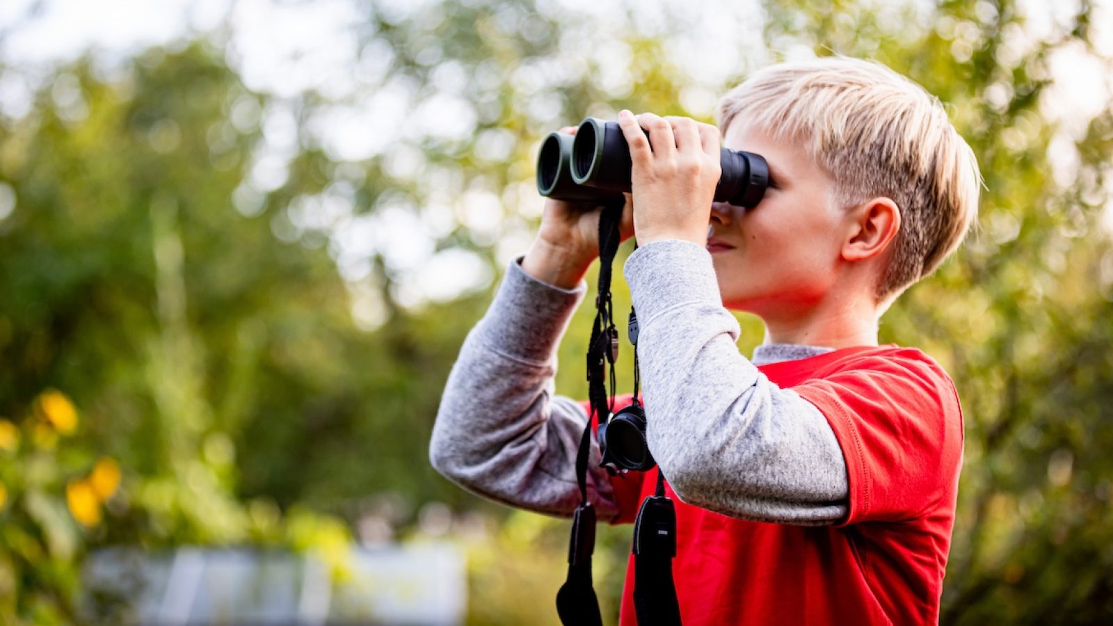 Joerg Farys Fotografie