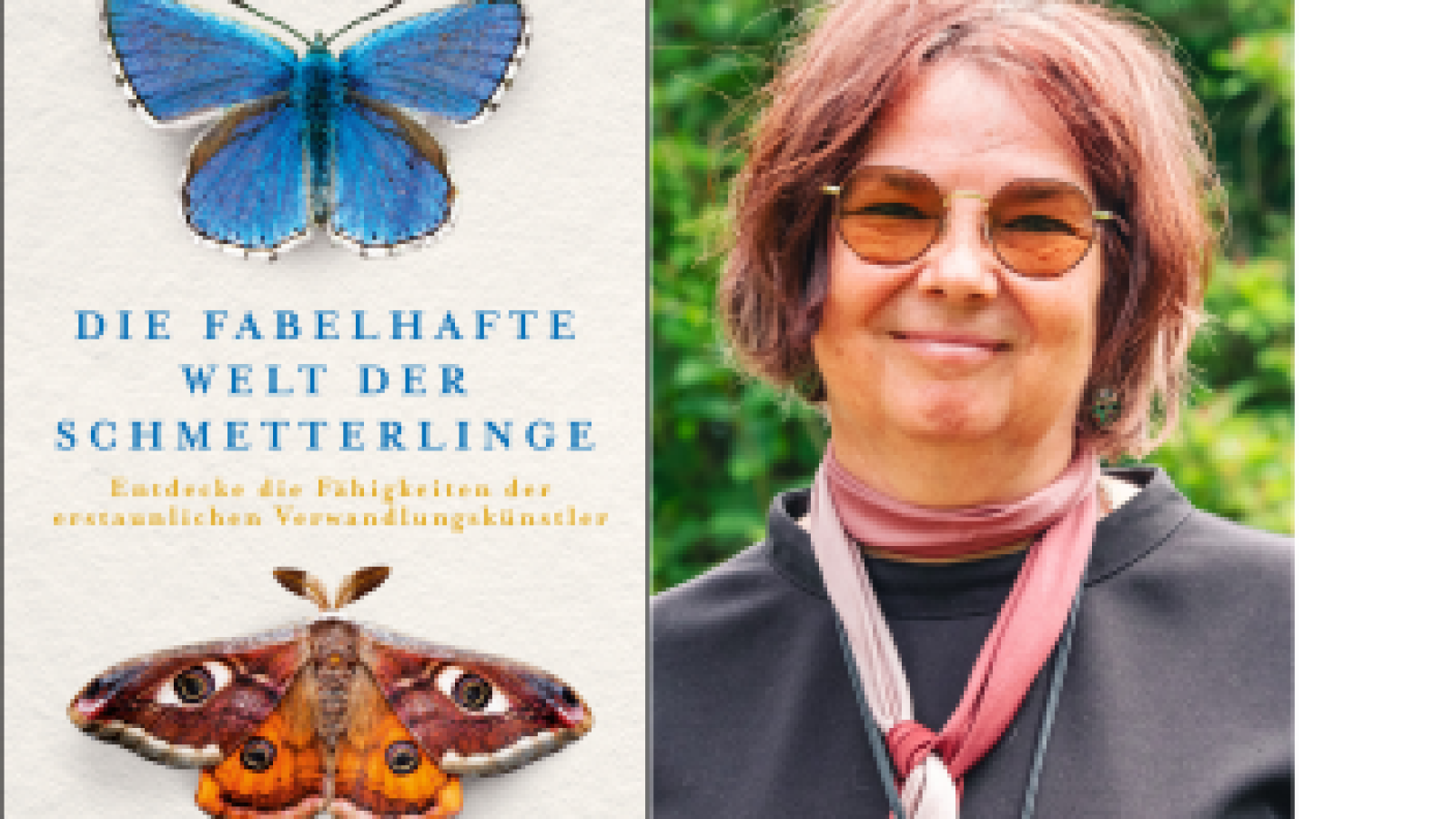 Neues Buch über Schmetterlinge am Tag des Schmetterlings