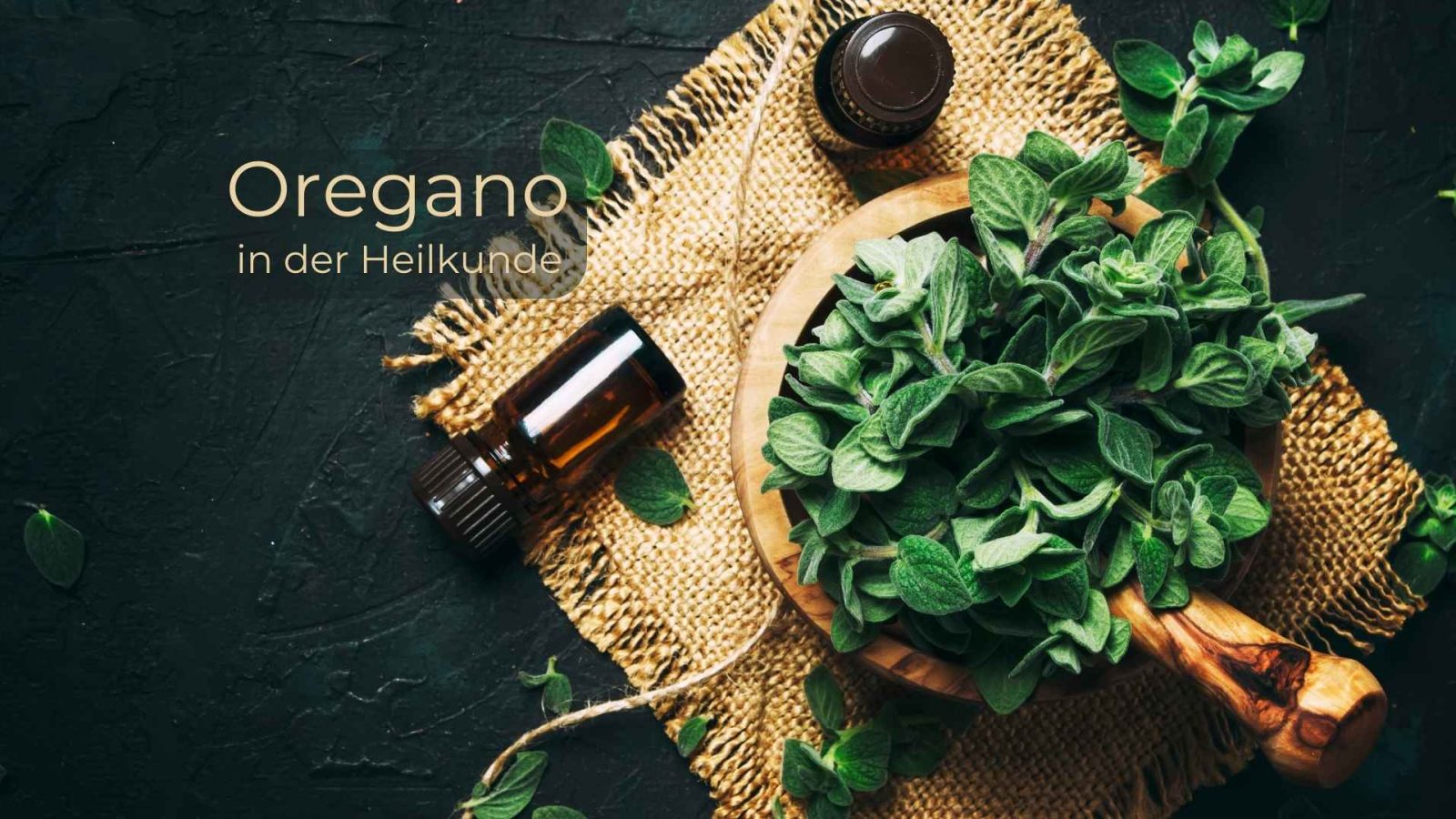 Oregano-Öl - Natürliches Heilmittel mit vielfältigen Einsatzmöglichkeiten