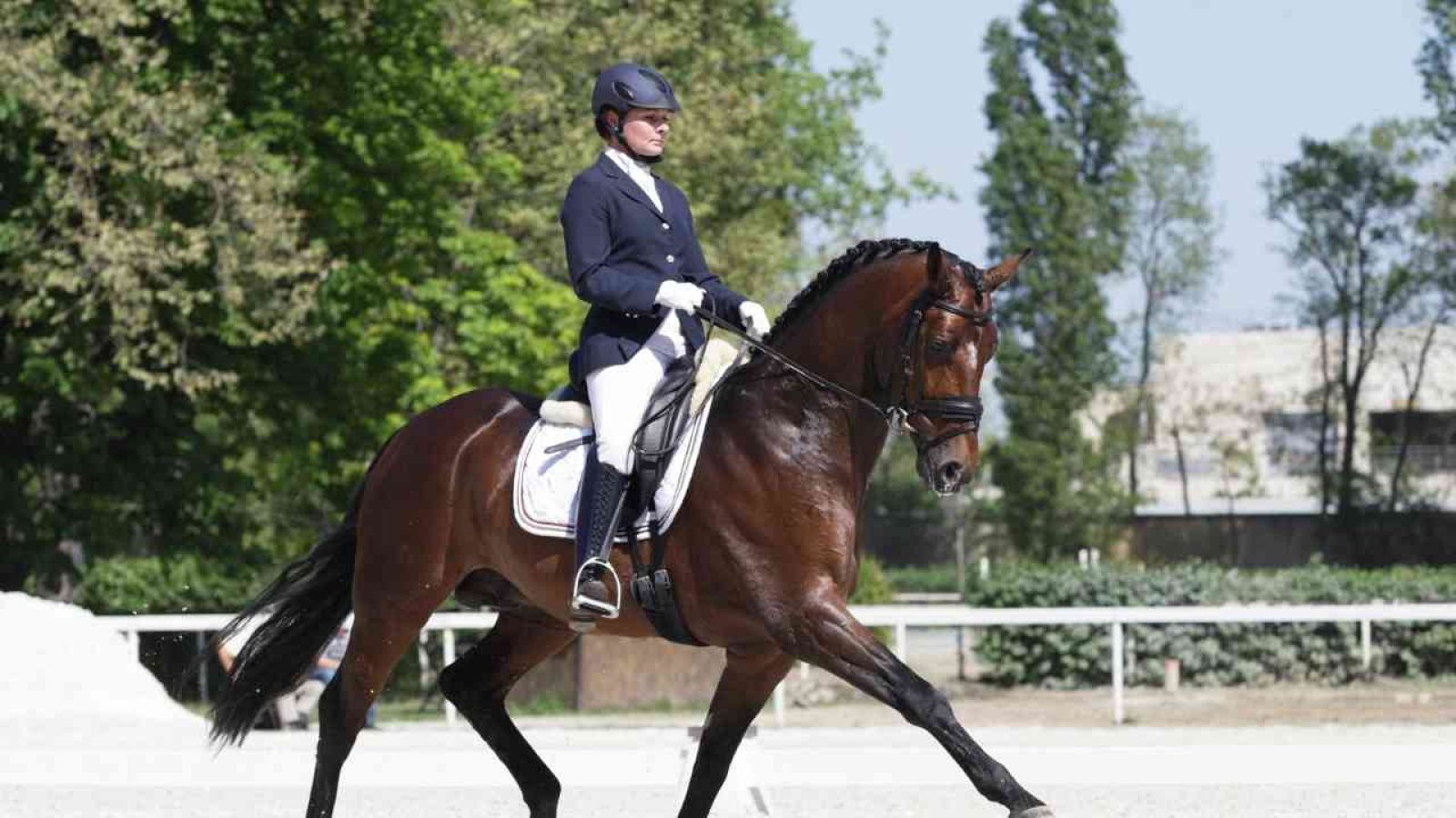 Reiterin in formeller Dressurkleidung reitet ein braunes Pferd auf einem Dressurplatz.