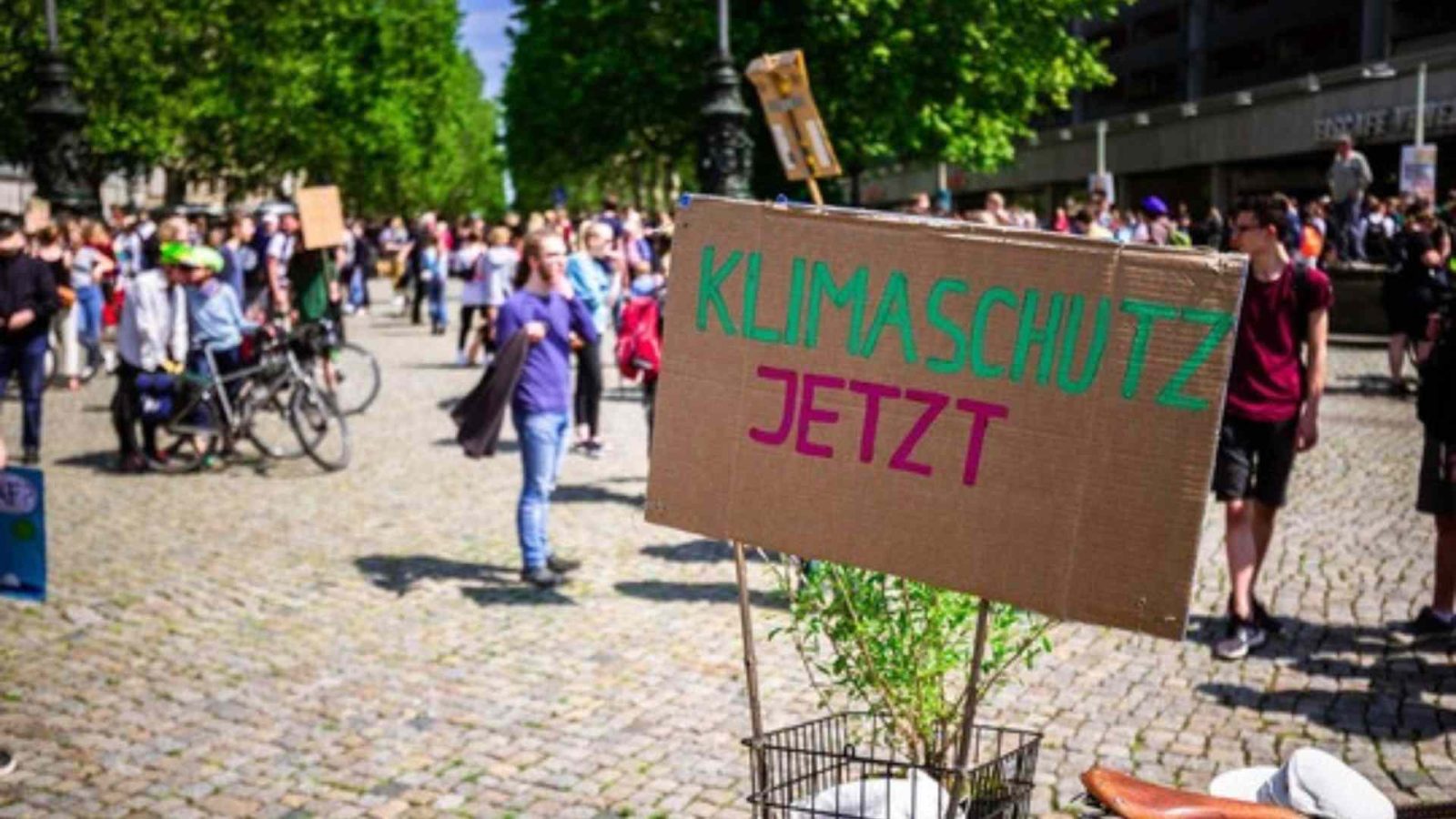 UN-Gericht: Natur- und Klimaschutz sind Menschenrecht