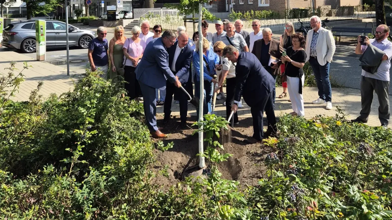 Vor dem Nordhorner Rathaus wurde anlässlich des Jubiläums der Städtepartnerschaft zwischen Nordhorn und Malbork ein Baum als bleibendes Zeichen gepflanzt.