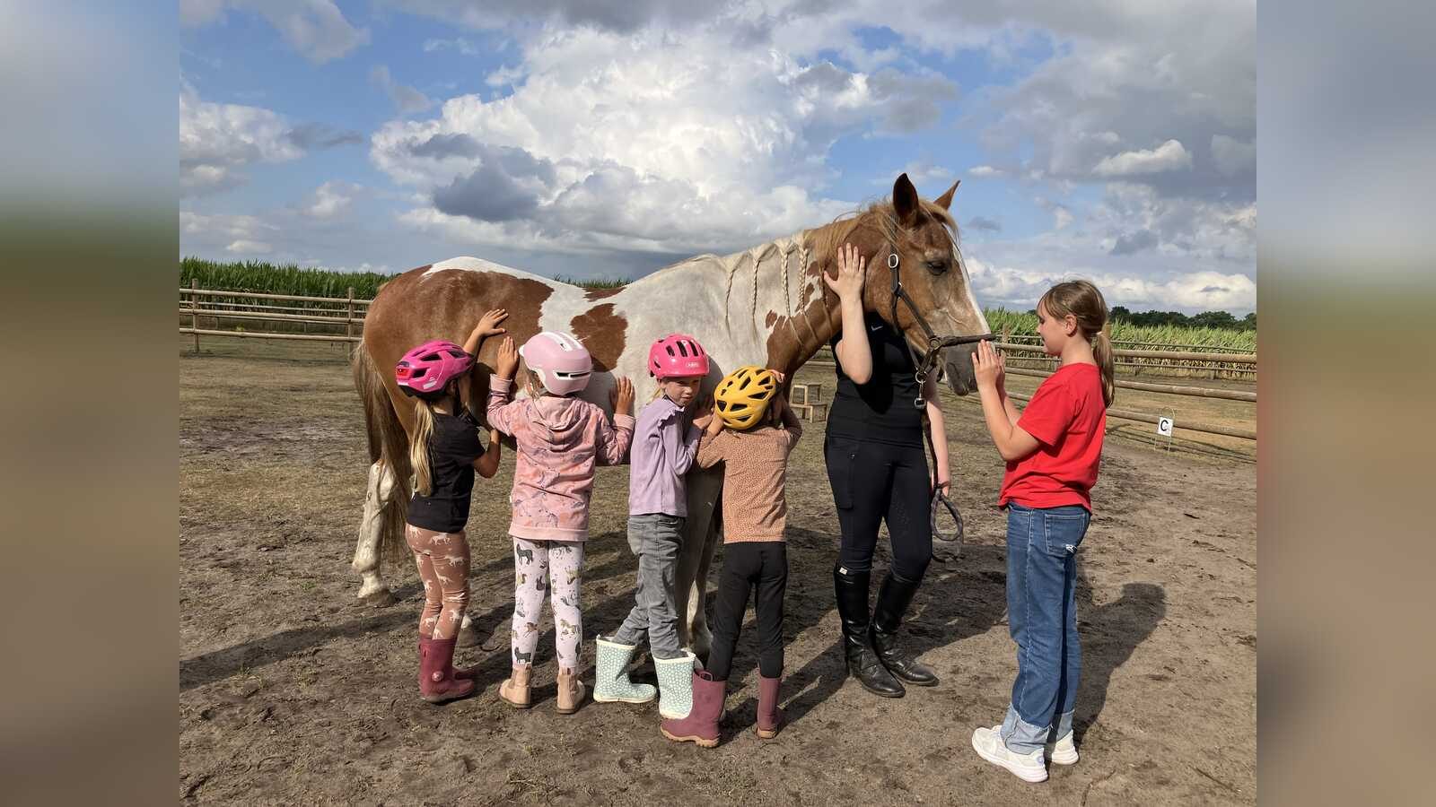 Kind mit Helm beim Ponyführerschein im Rahmen des Nordhorner Ferienpassprogramms