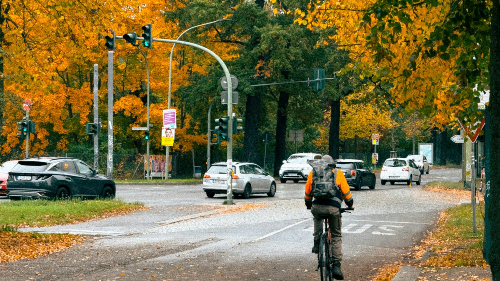 Radfahrer fährt auf einer von herbstlich gefärbten Bäumen gesäumten Straße