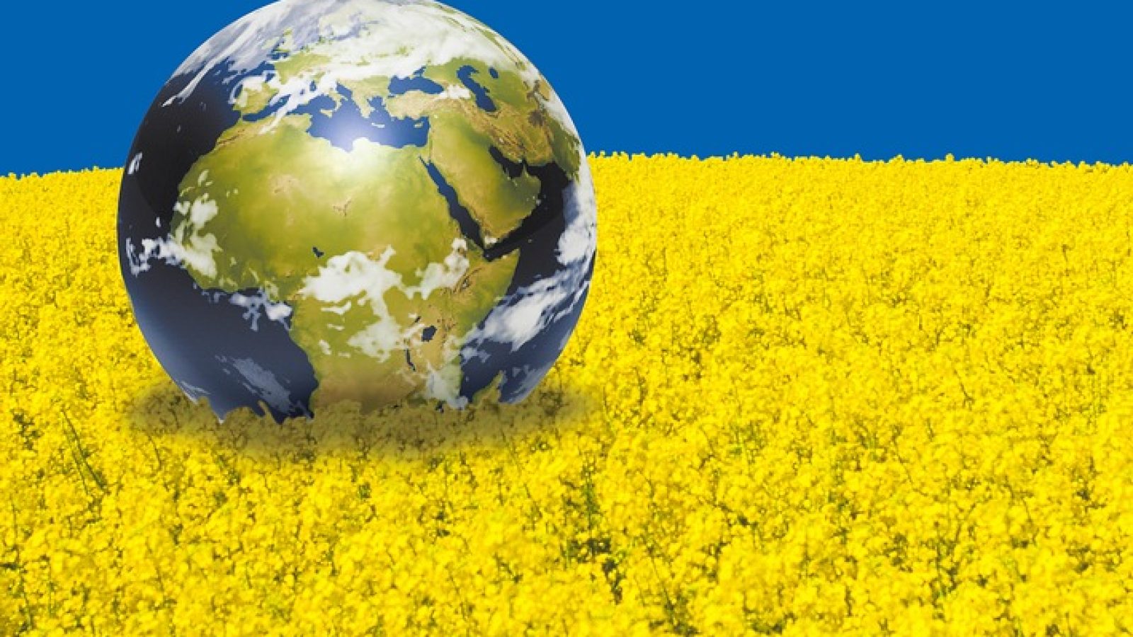 Die Union zur Förderung von Oel- und Proteinpflanzen e. V. (UFOP) bewertet den am 23. April 2026 verabschiedeten Beschluss des Deutschen Bundestages zur Umsetzung der RED III als mutigen und richtungsweisenden Schritt für den Klimaschutz im Verkehrssektor und für mehr Integrität im Biokraftstoffmarkt. Mit der Anhebung der Treibhausgas (THG)-Quotenverpflichtung auf 65 Prozent bis 2040 sowie der schrittweisen Erhöhung der Kappungsgrenze für Biokraftstoffe aus Anbaubiomasse von derzeit 4,4 Prozent auf 5,8 Prozent bis 2033 setzt der deutsche Gesetzgeber klare Rahmenbedingungen für eine beschleunigte Defossilisierung des Verkehrs. / Weiterer Text über ots und www.presseportal.de/nr/15598 / Die Verwendung dieses Bildes für redaktionelle Zwecke ist unter Beachtung aller mitgeteilten Nutzungsbedingungen zulässig und dann auch honorarfrei. Veröffentlichung ausschließlich mit Bildrechte-Hinweis.