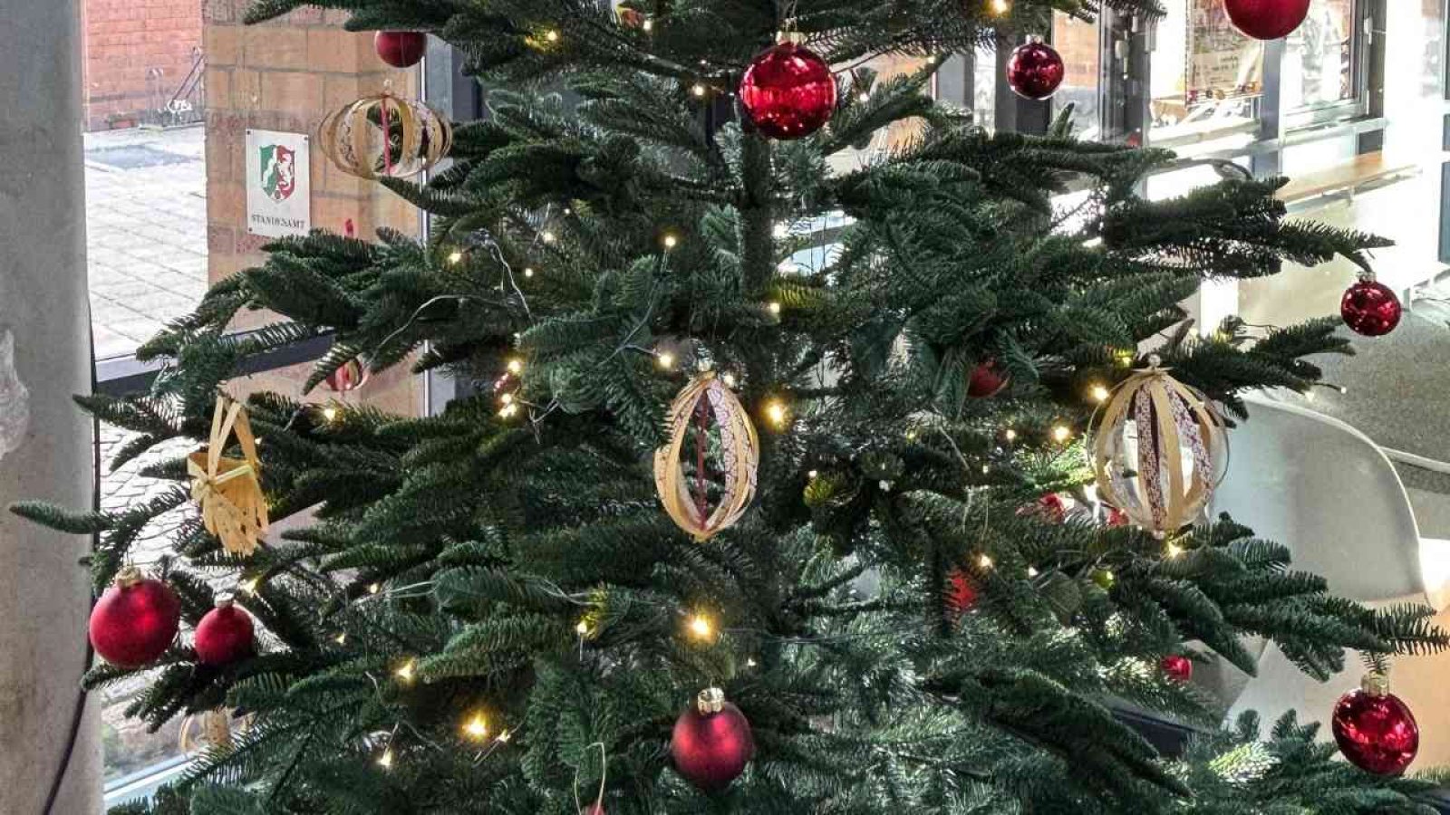 Rhede Wunschbaumaktion